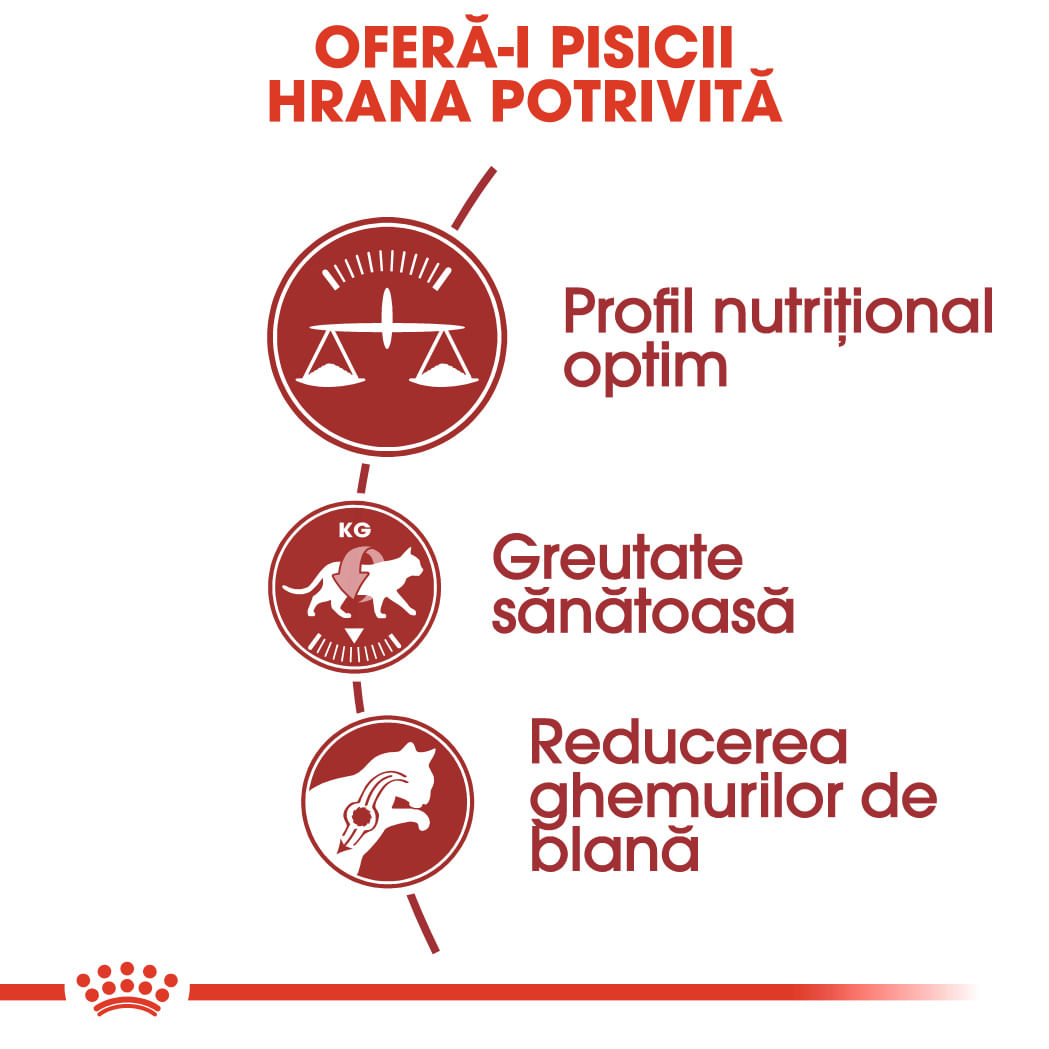 ROYAL CANIN Fit32 Adult, hrană uscată pisici, activitate fizică moderată, 400g - poza 4