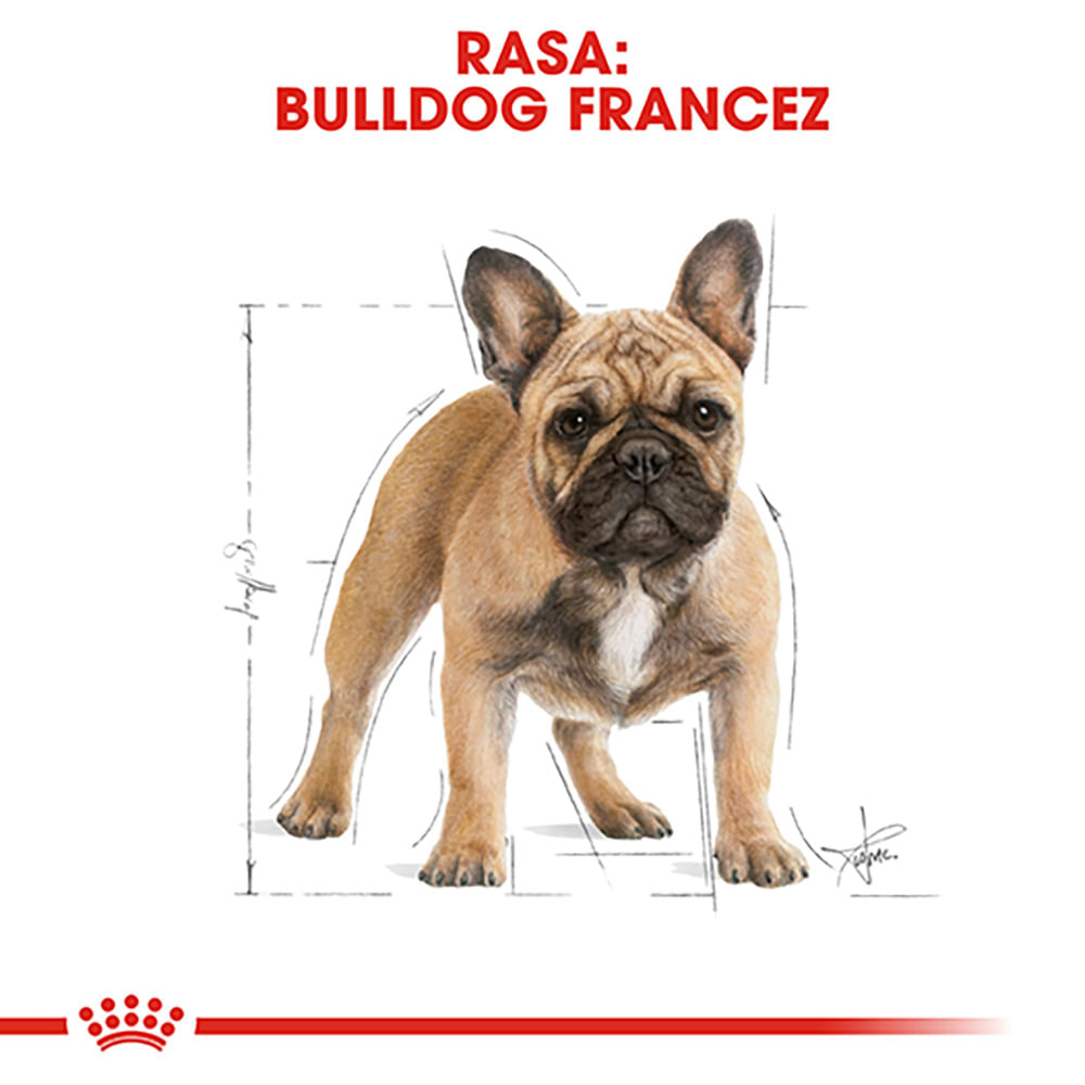 ROYAL CANIN French Bulldog Adult, hrană uscată câini, 1.5kg - poza 4