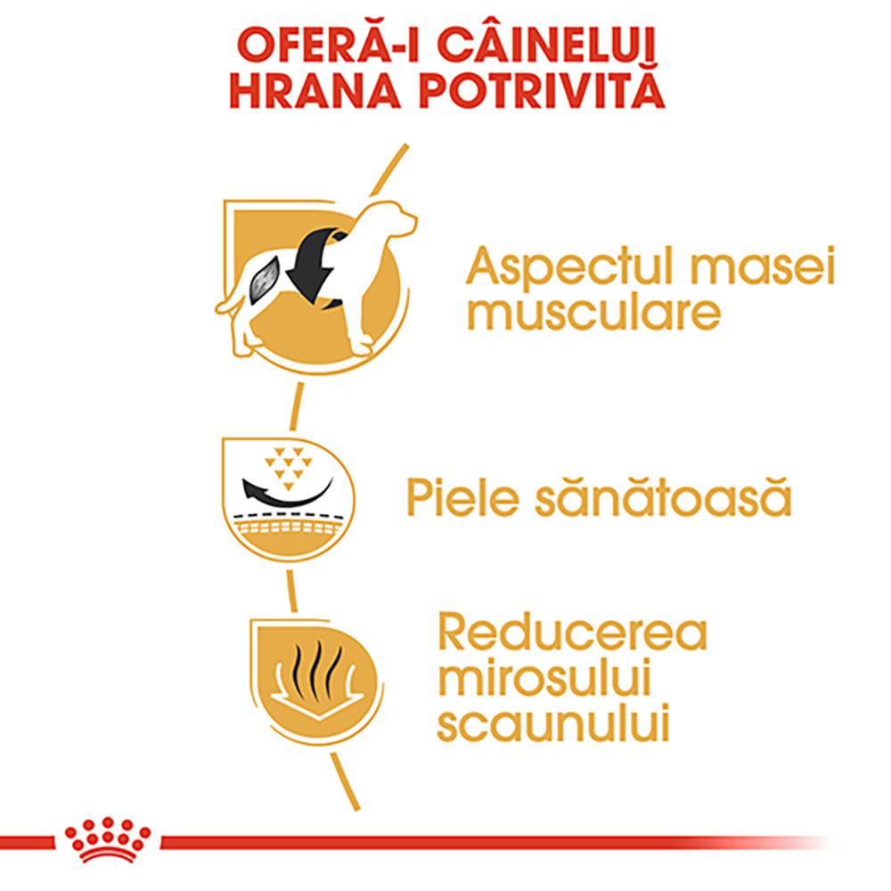 ROYAL CANIN French Bulldog Adult, hrană uscată câini, 1.5kg - poza 5