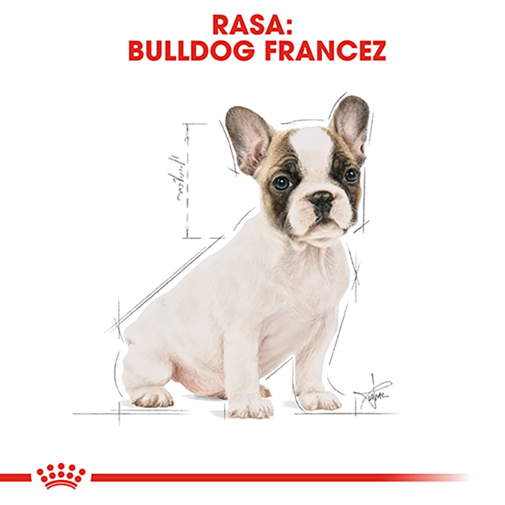 ROYAL CANIN French Bulldog Puppy, hrană uscată câini junior, 3kg - poza 4