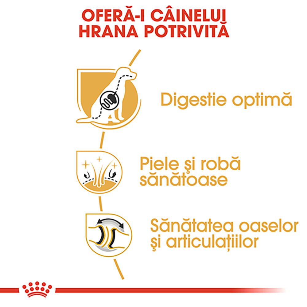 ROYAL CANIN German Shepherd Adult, hrană uscată câini, 3kg - poza 5