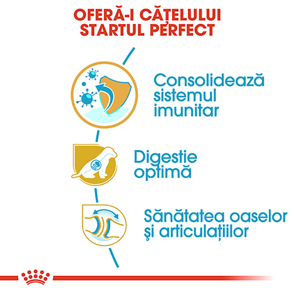 ROYAL CANIN German Shepherd Puppy, hrană uscată câini junior, 1kg - poza 5