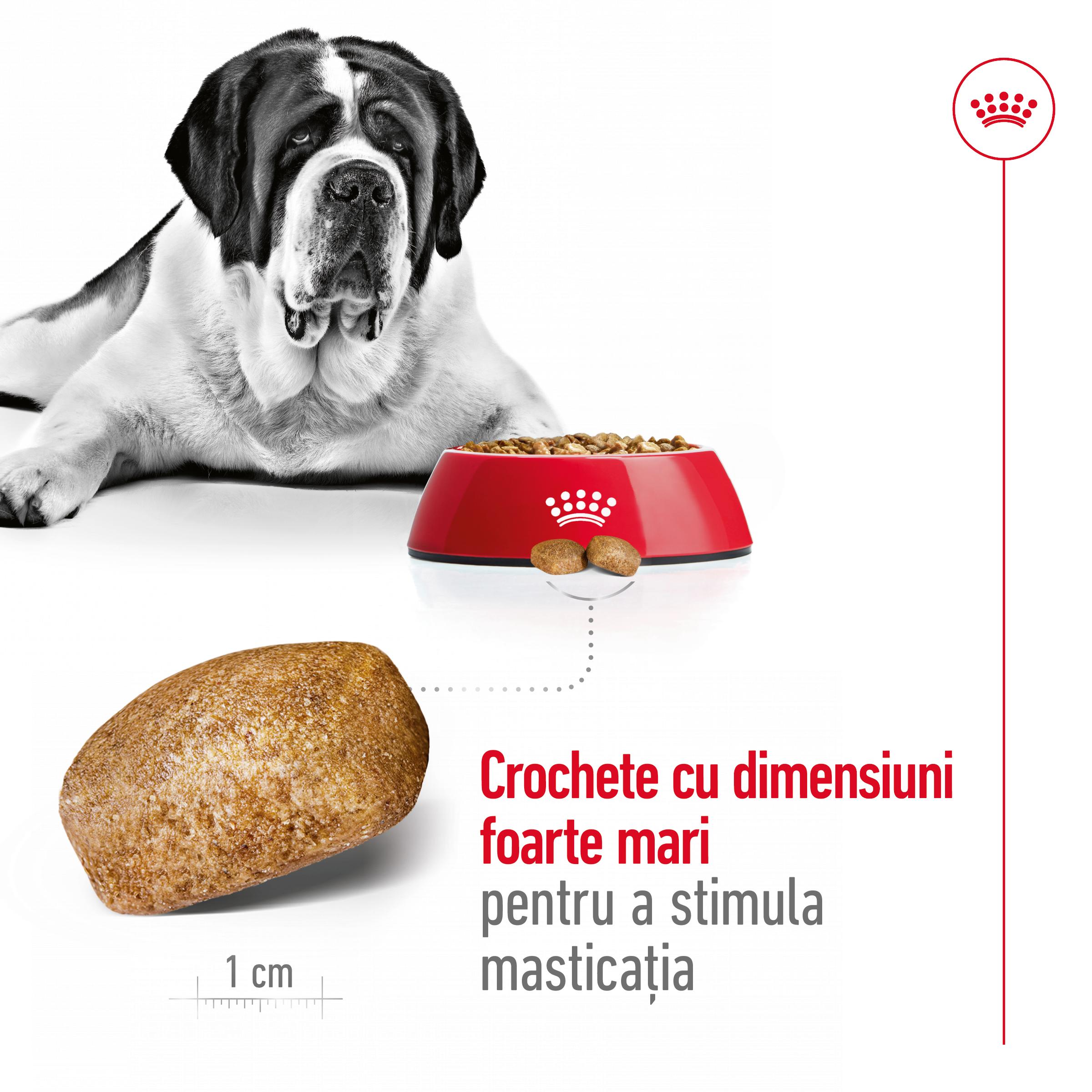 ROYAL CANIN Giant Adult, hrană uscată câini, 15+3kg GRATUIT - poza 5