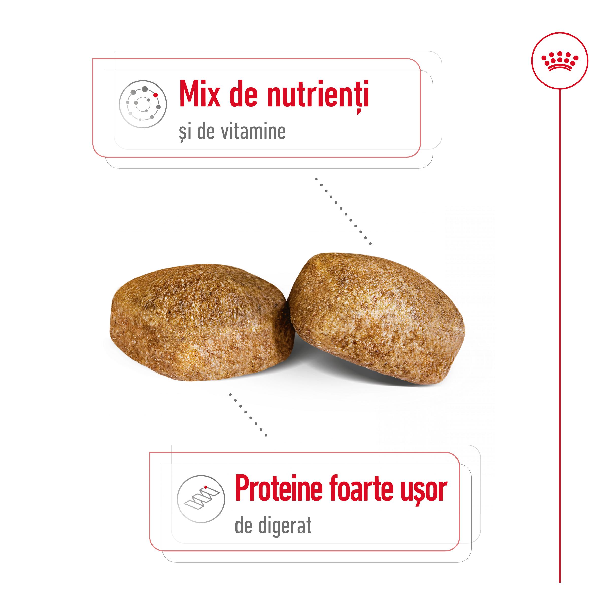 ROYAL CANIN Giant Adult, hrană uscată câini, 15kg - poza 5