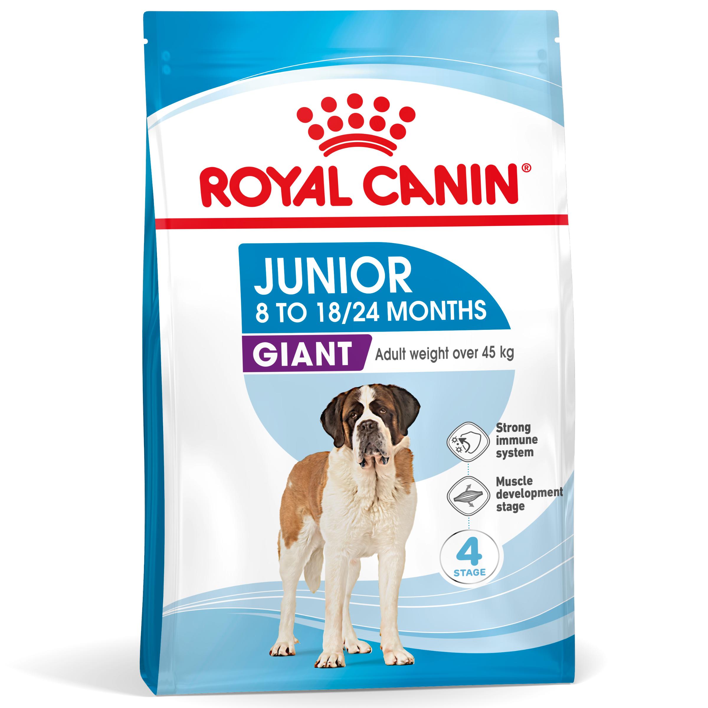 ROYAL CANIN Giant Junior, hrană uscată câini junior, etapa 2 de creștere, 15kg - poza 2
