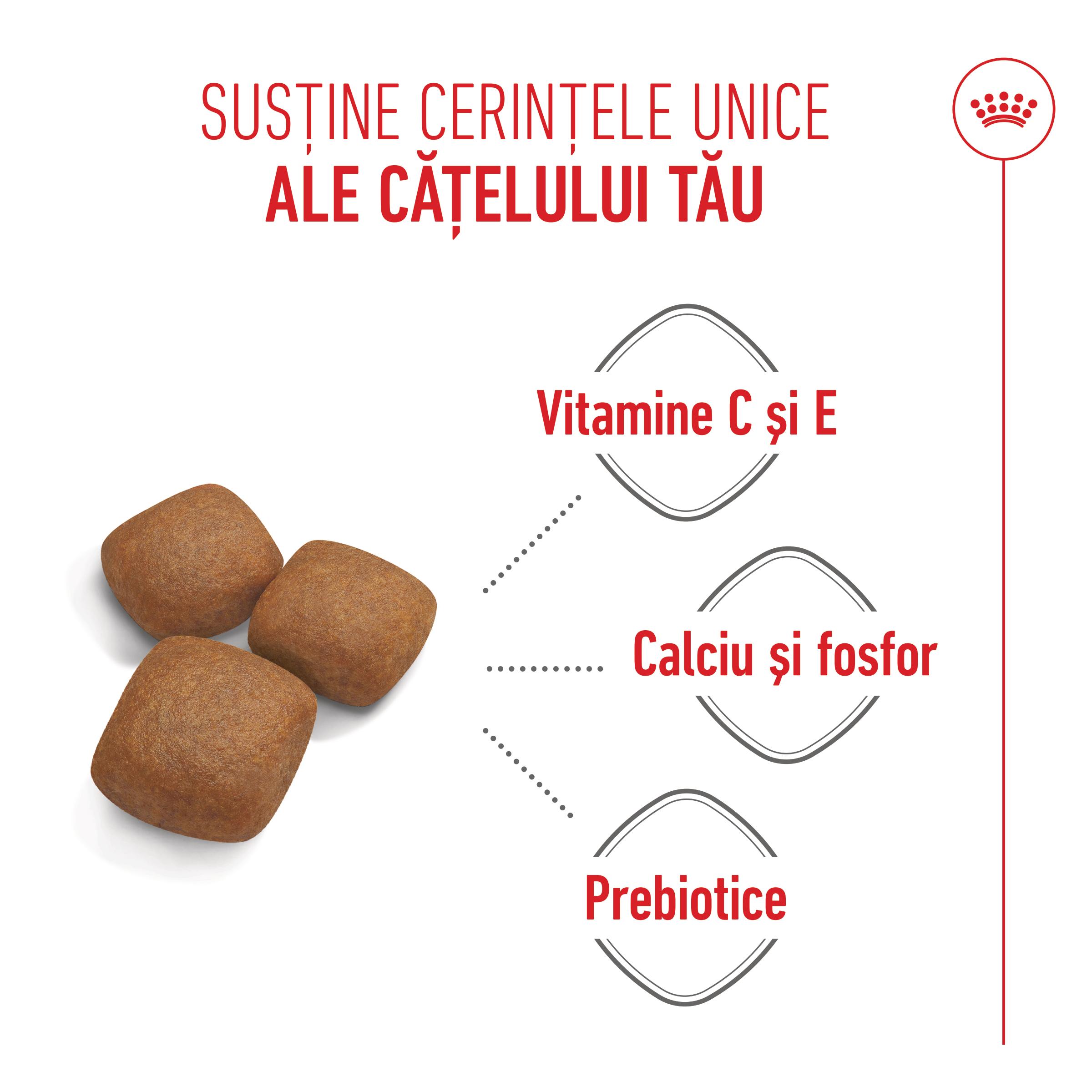 ROYAL CANIN Giant Junior, hrană uscată câini junior, etapa 2 de creștere, 3.5kg - poza 5