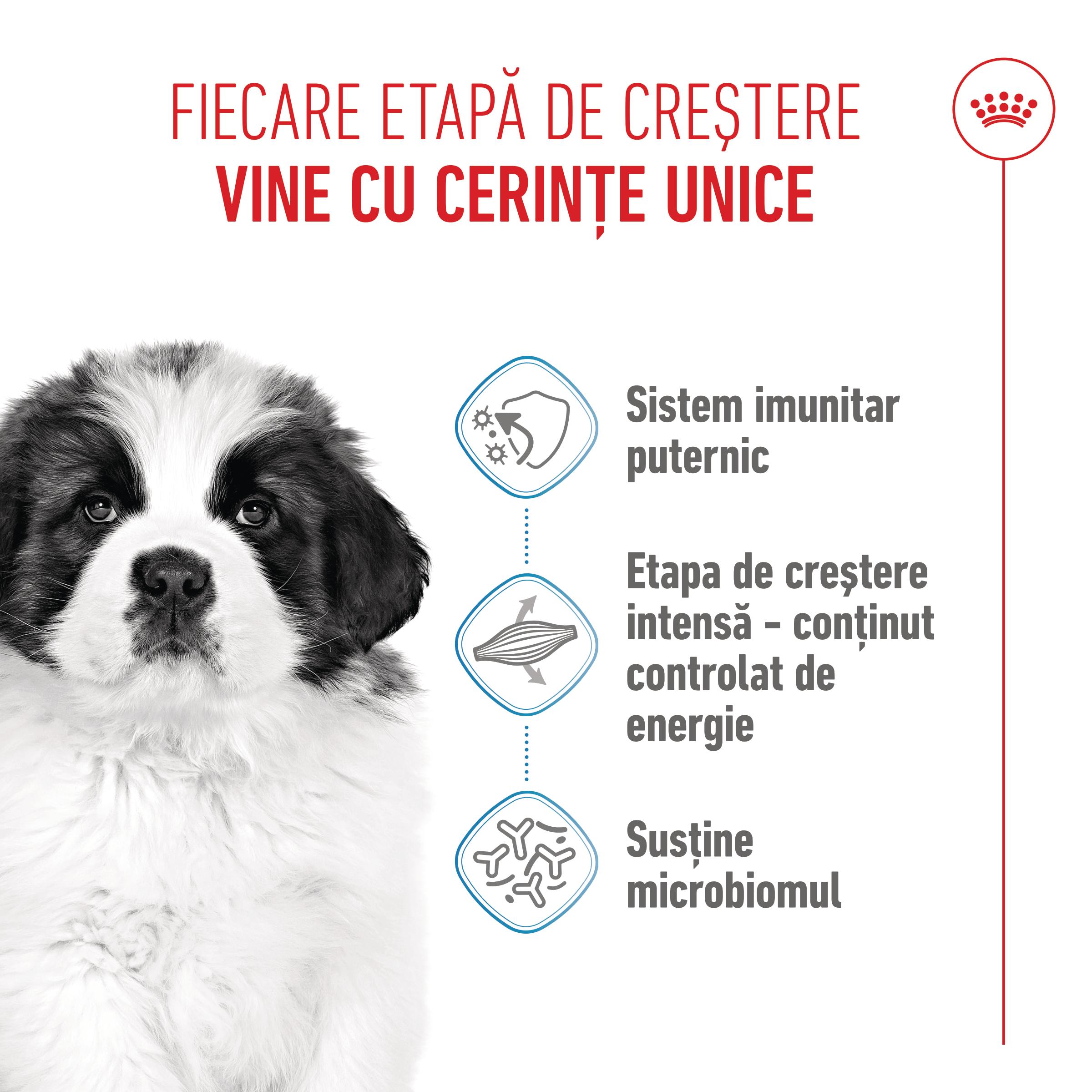 ROYAL CANIN Giant Puppy, hrană uscată câini junior, etapa 1 de creștere, 15kg - poza 4