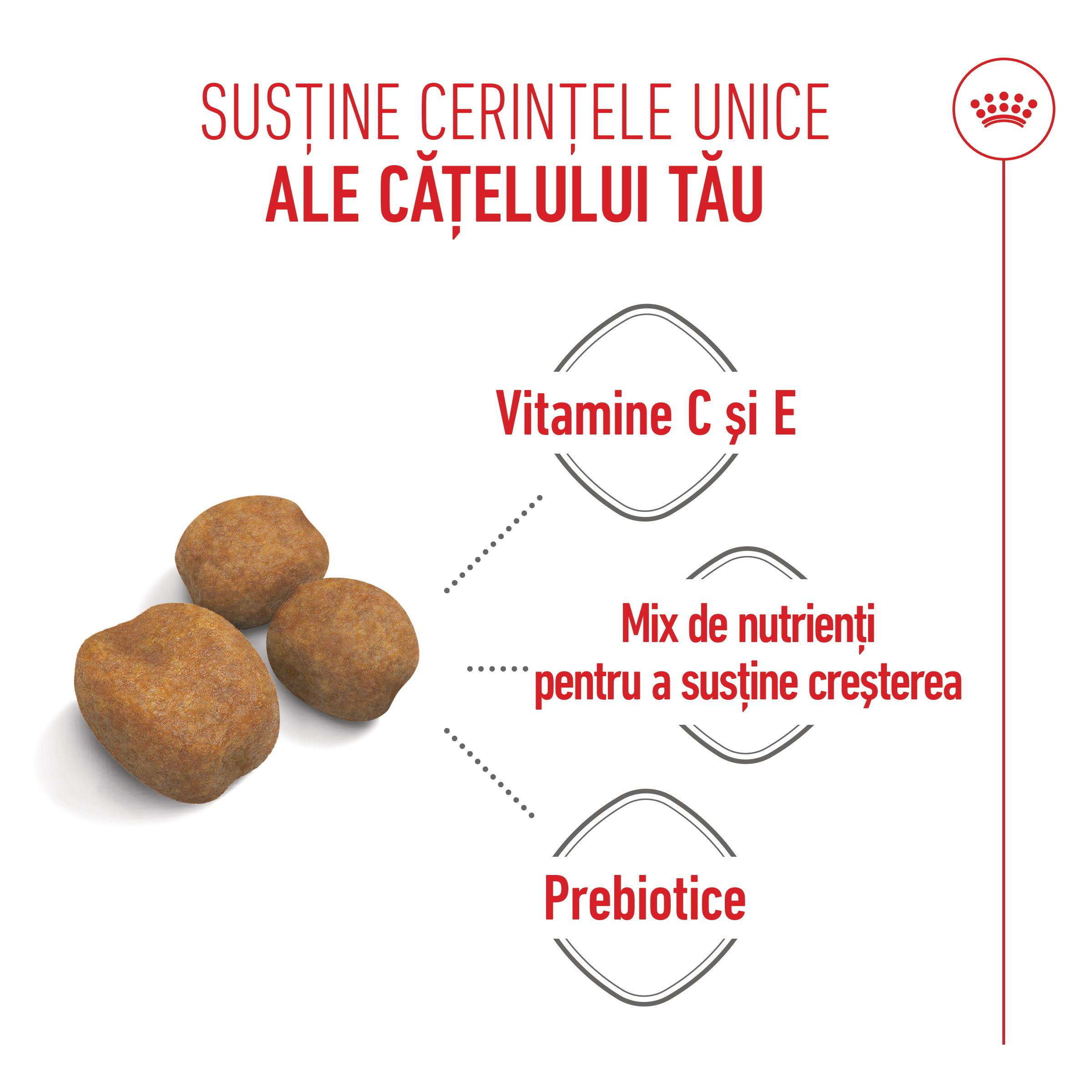ROYAL CANIN Giant Puppy, hrană uscată câini junior, etapa 1 de creștere, 15kg - poza 5