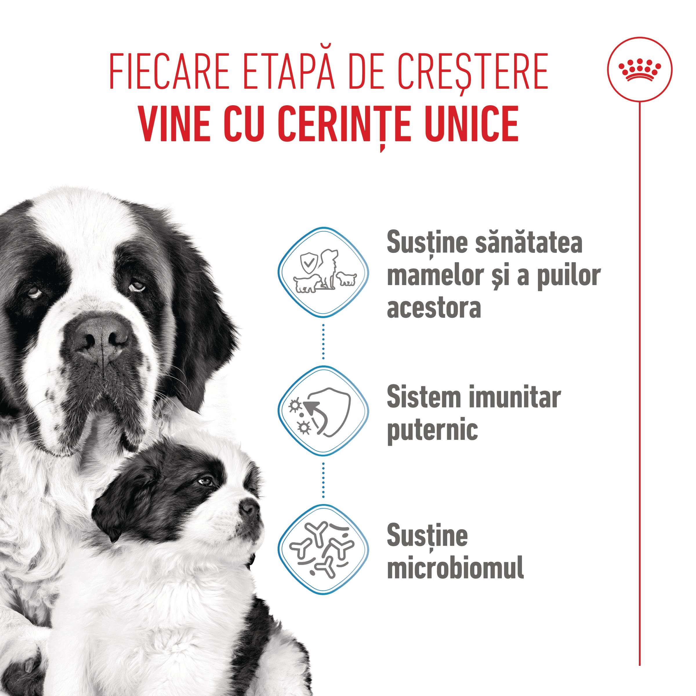 ROYAL CANIN Giant Starter Mother & Babydog, mama și puiul, hrană uscată câini, 15kg - poza 4