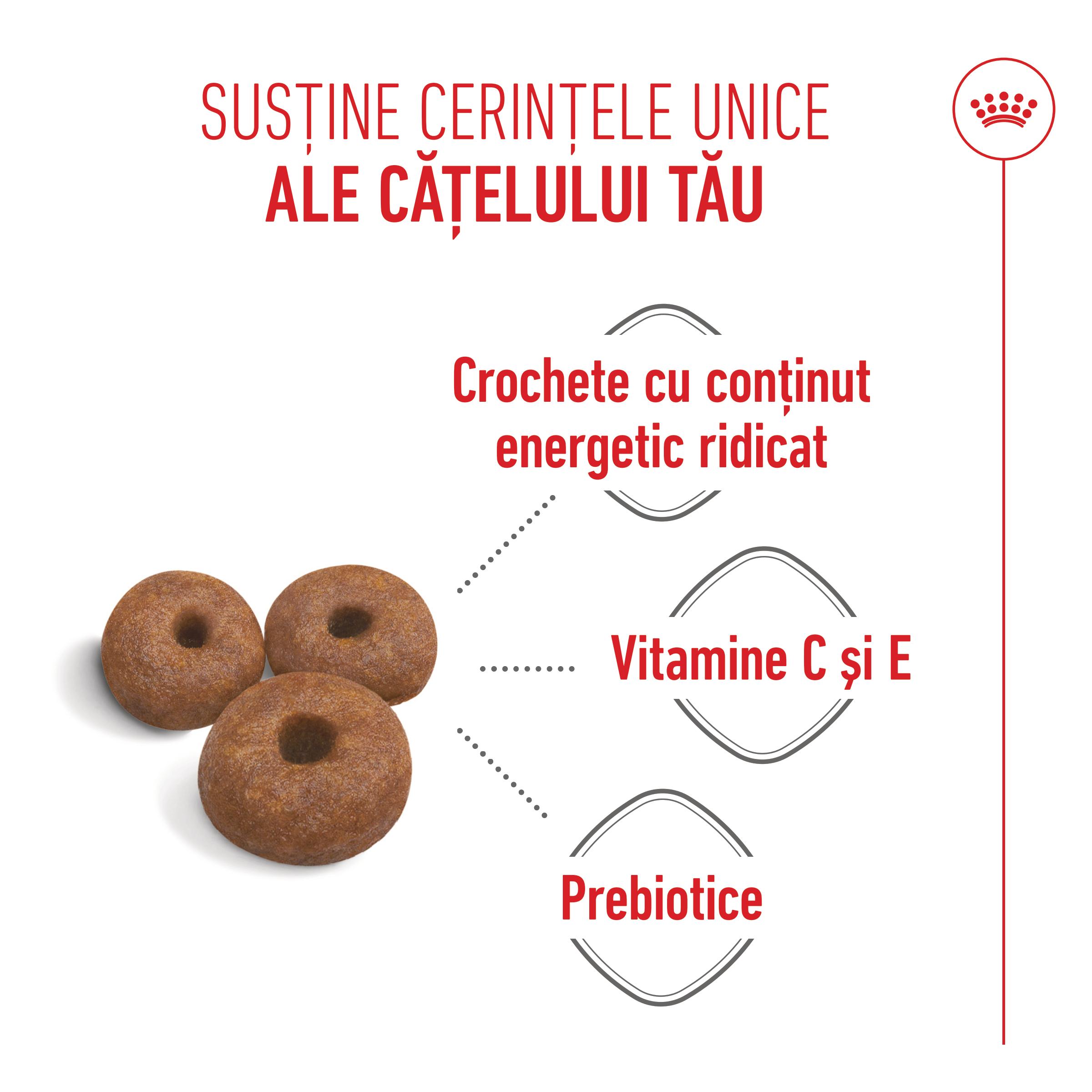 ROYAL CANIN Giant Starter Mother & Babydog, mama și puiul, hrană uscată câini, 15kg - poza 5
