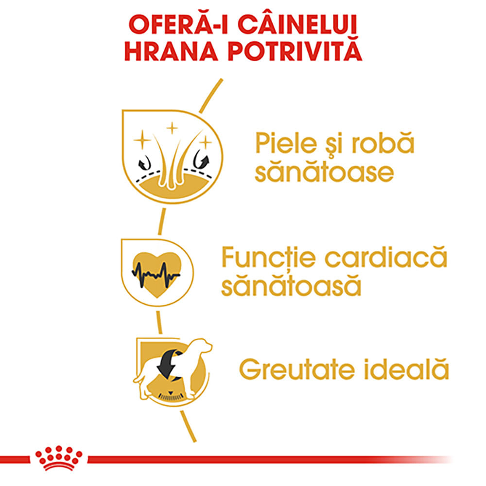 ROYAL CANIN Golden Retriever Adult, hrană uscată câini, 3kg - poza 5