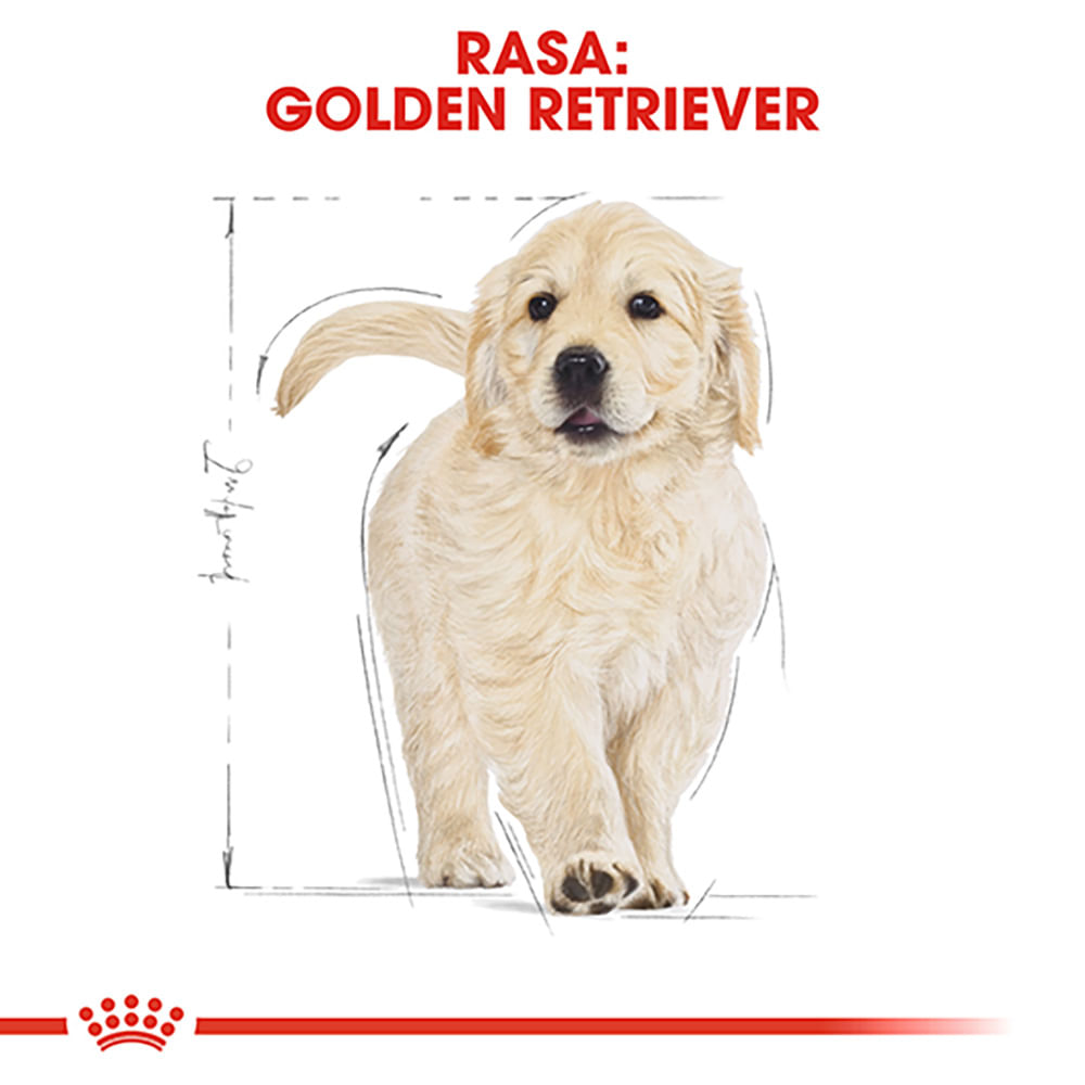 ROYAL CANIN Golden Retriever Puppy, hrană uscată câini junior, 3kg - poza 4