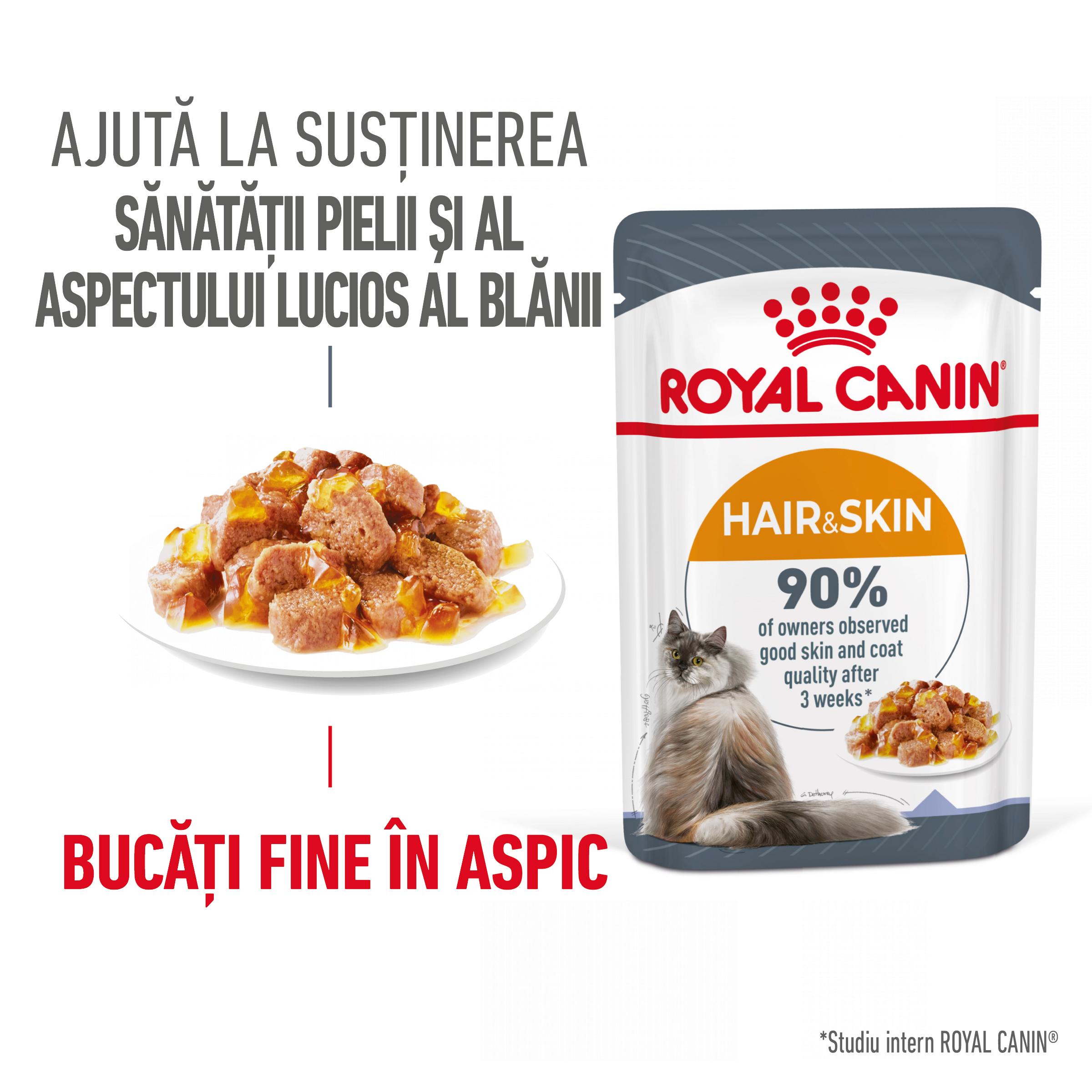 ROYAL CANIN Hair&Skin Care Adult hrană umedă pisici piele & blană (în aspic), 85g - poza 1