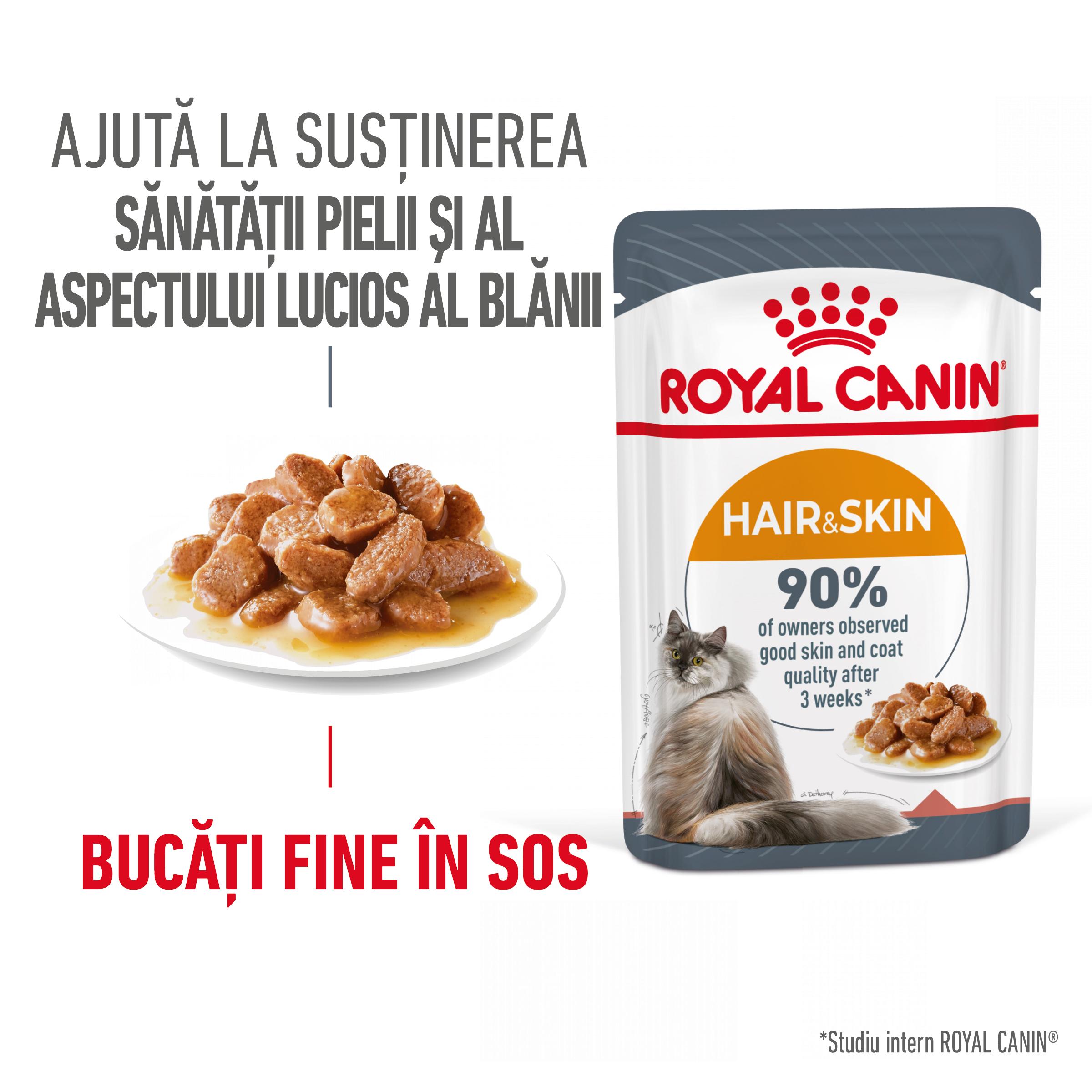ROYAL CANIN Hair & Skin Care Adult, hrană umedă pisici, piele & blană, (în sos), 85g - poza 2