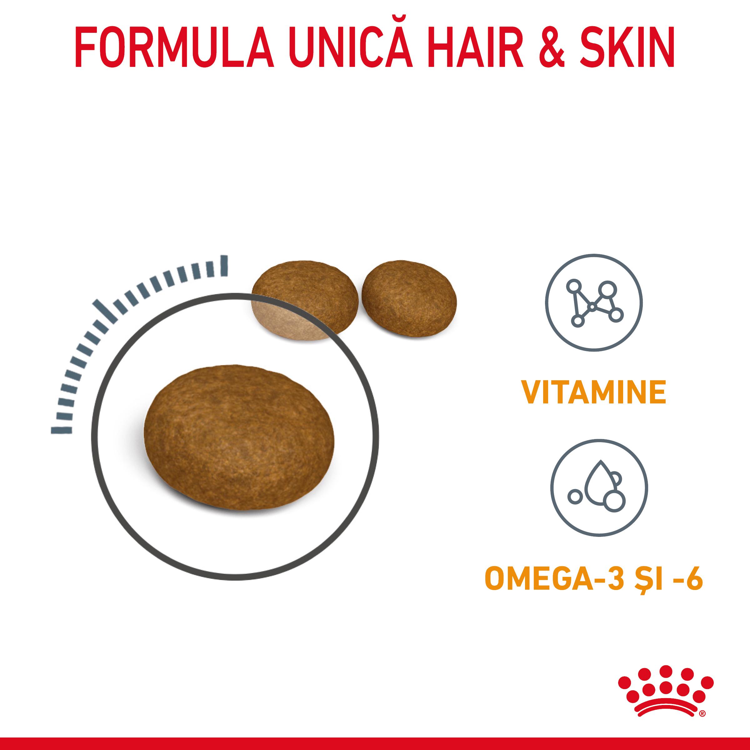 ROYAL CANIN Hair & Skin Care Adult, hrană uscată pisici, piele & blană, 10kg - poza 4