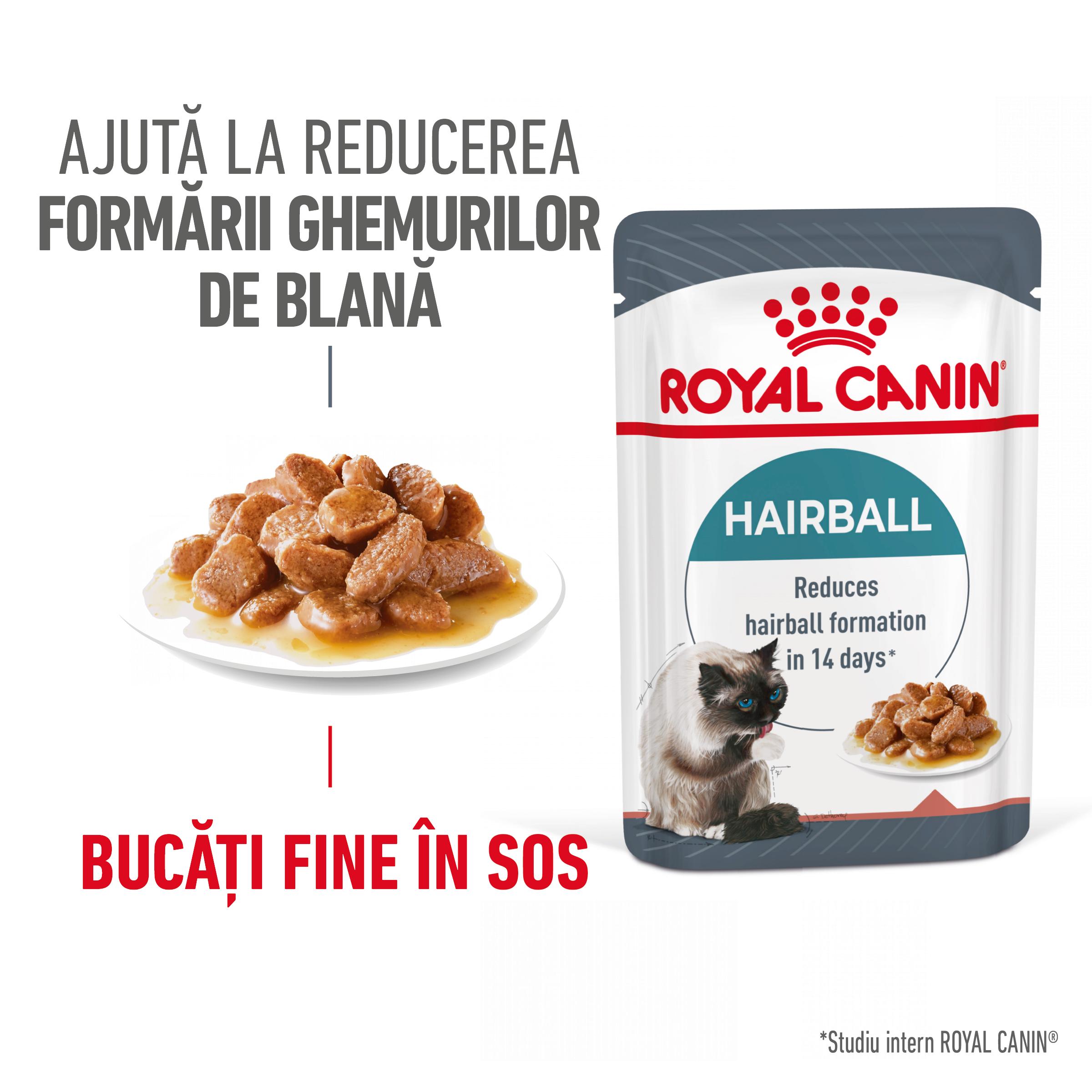 ROYAL CANIN Hairball Care Adult, hrană umedă pisici, limitarea ghemurilor de blană, (în sos), 85g - poza 1