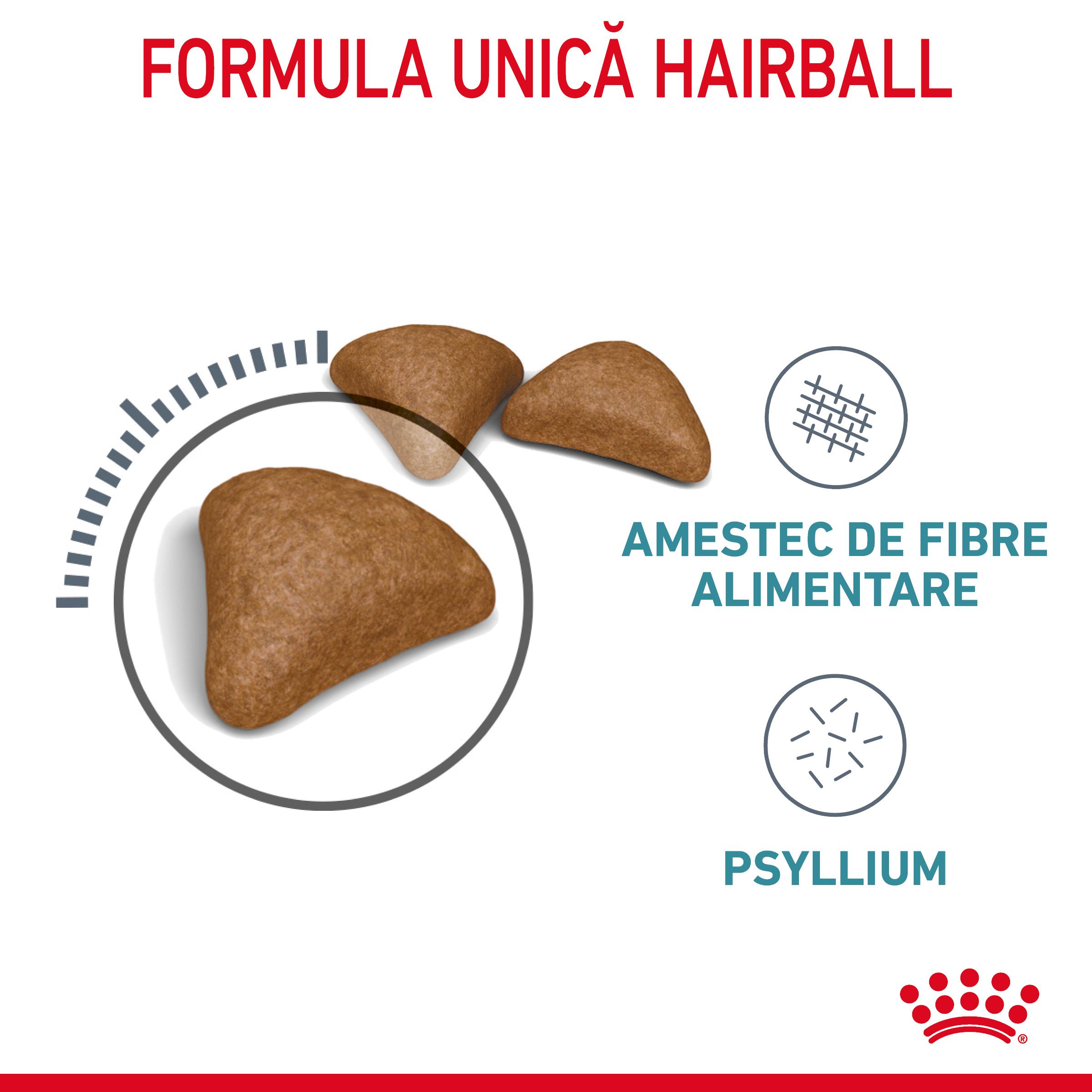 ROYAL CANIN Hairball Care Adult, hrană uscată pisici, limitarea ghemurilor de blană, 10kg - poza 4