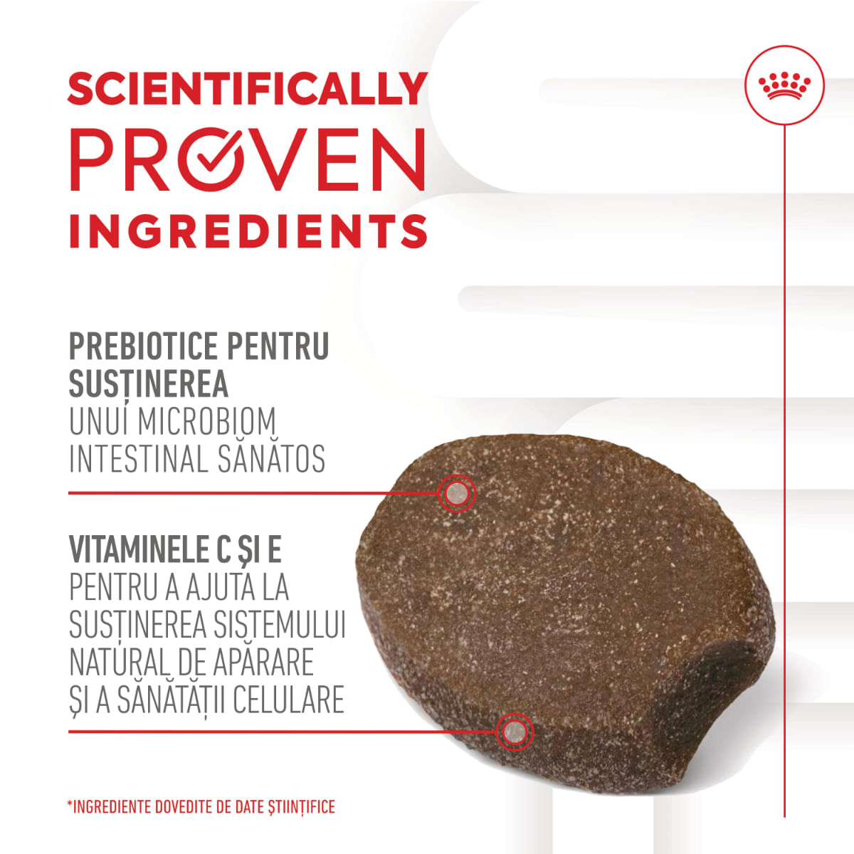 ROYAL CANIN Immunity & Digestion Chews Puppy Supplements, punguță recompense funcționale câini junior, sistem imunitar, sistem digestiv, 100g - poza 5