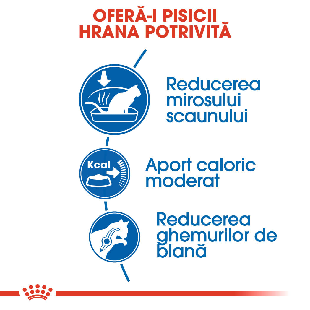 ROYAL CANIN Indoor Adult, hrană uscată pisici, de interior, 2kg - poza 4