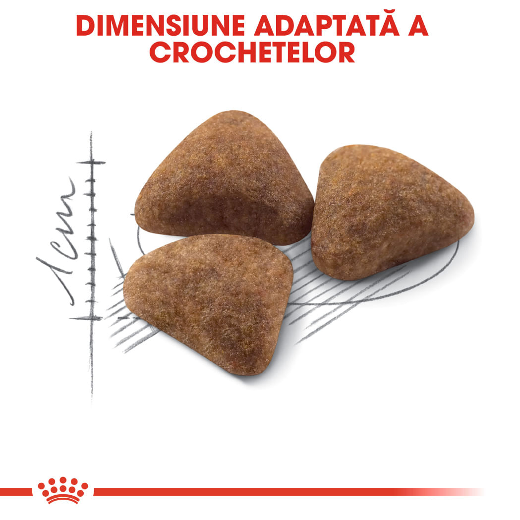 ROYAL CANIN Indoor Adult, hrană uscată pisici, de interior, 4kg - poza 5