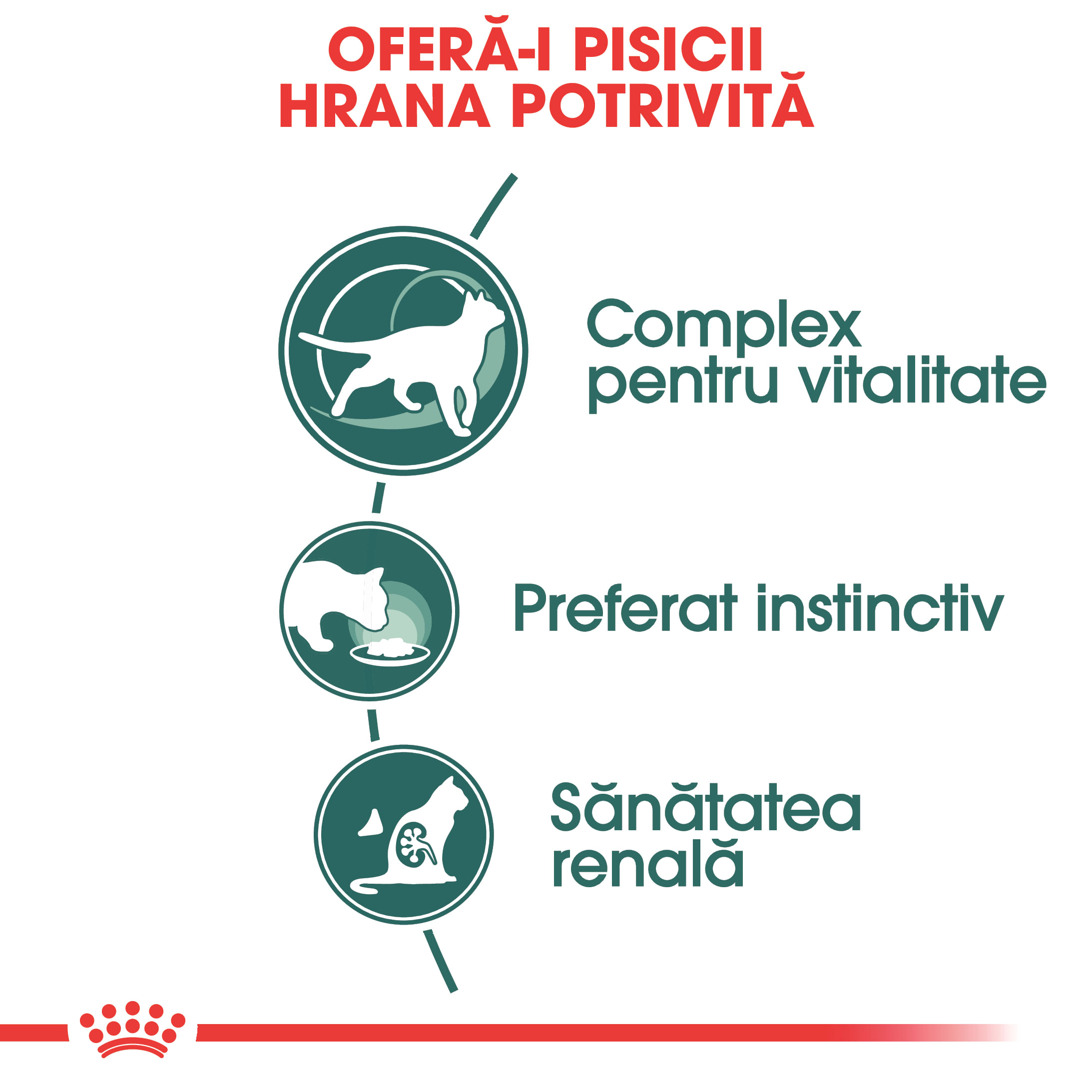 ROYAL CANIN Instinctive 7+, hrană umedă pisici, (în sos), 85g - poza 3