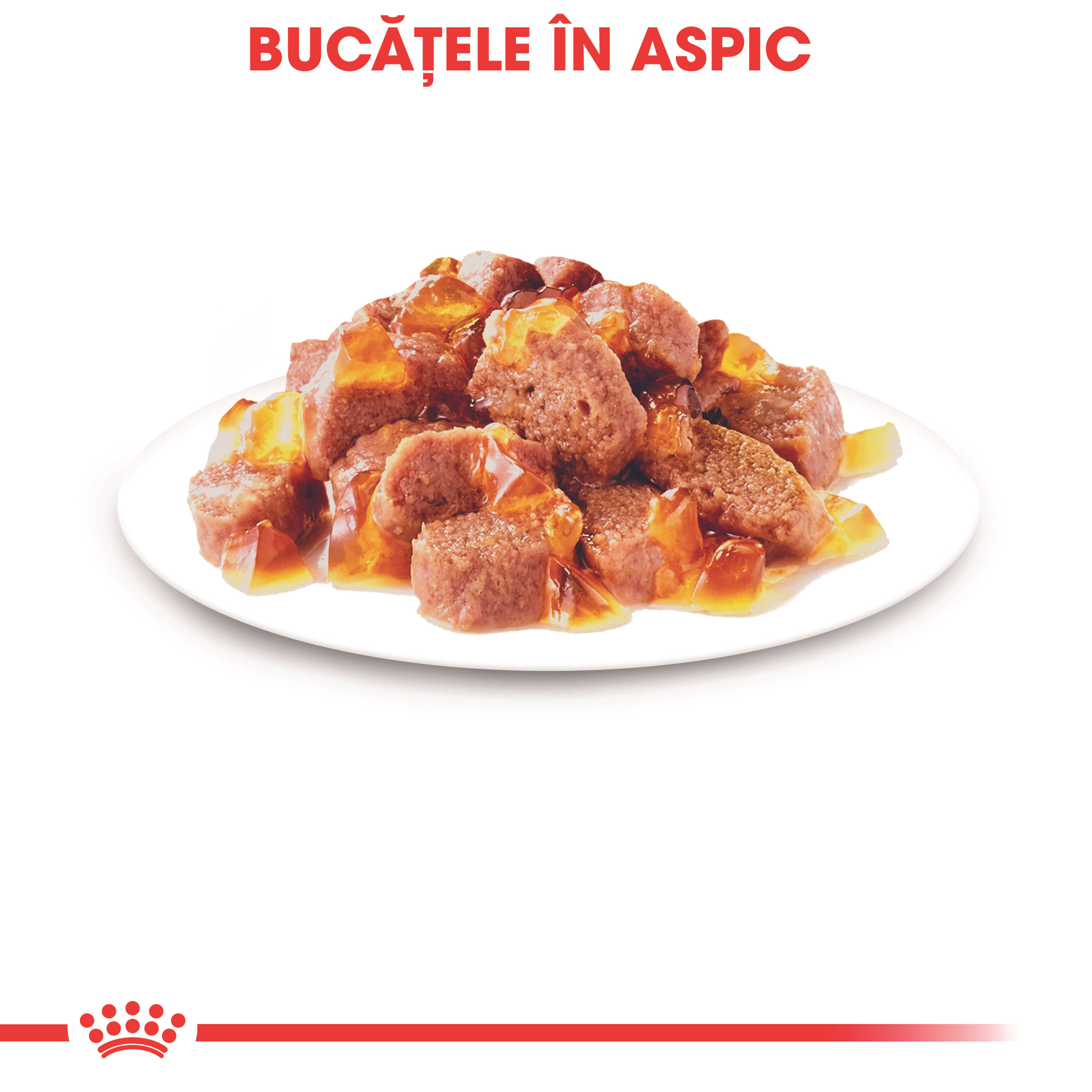 ROYAL CANIN Instinctive Adult, hrană umedă pisici, (în aspic), 85g - poza 4