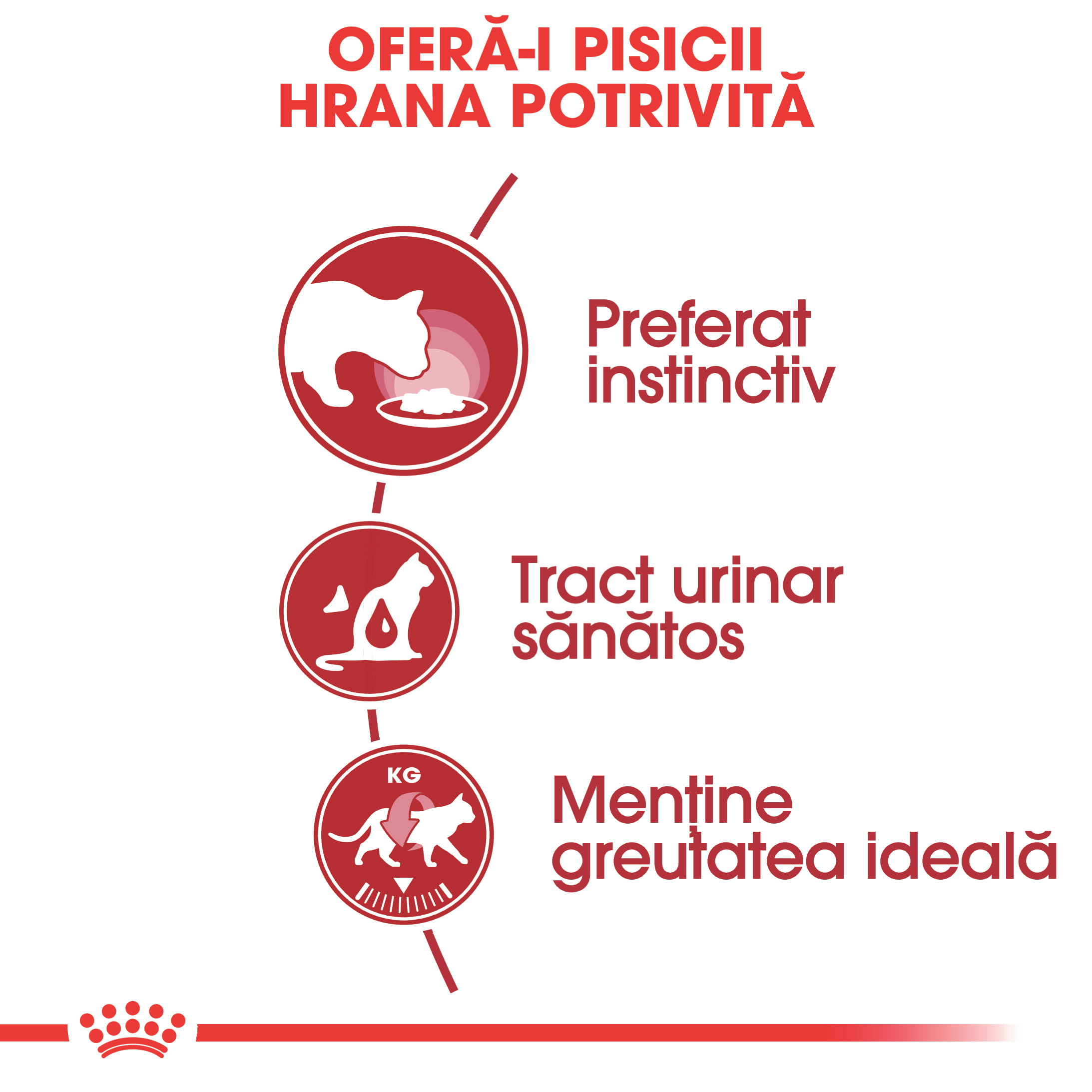 ROYAL CANIN Instinctive Adult, hrană umedă pisici, (în sos), 85g - poza 3