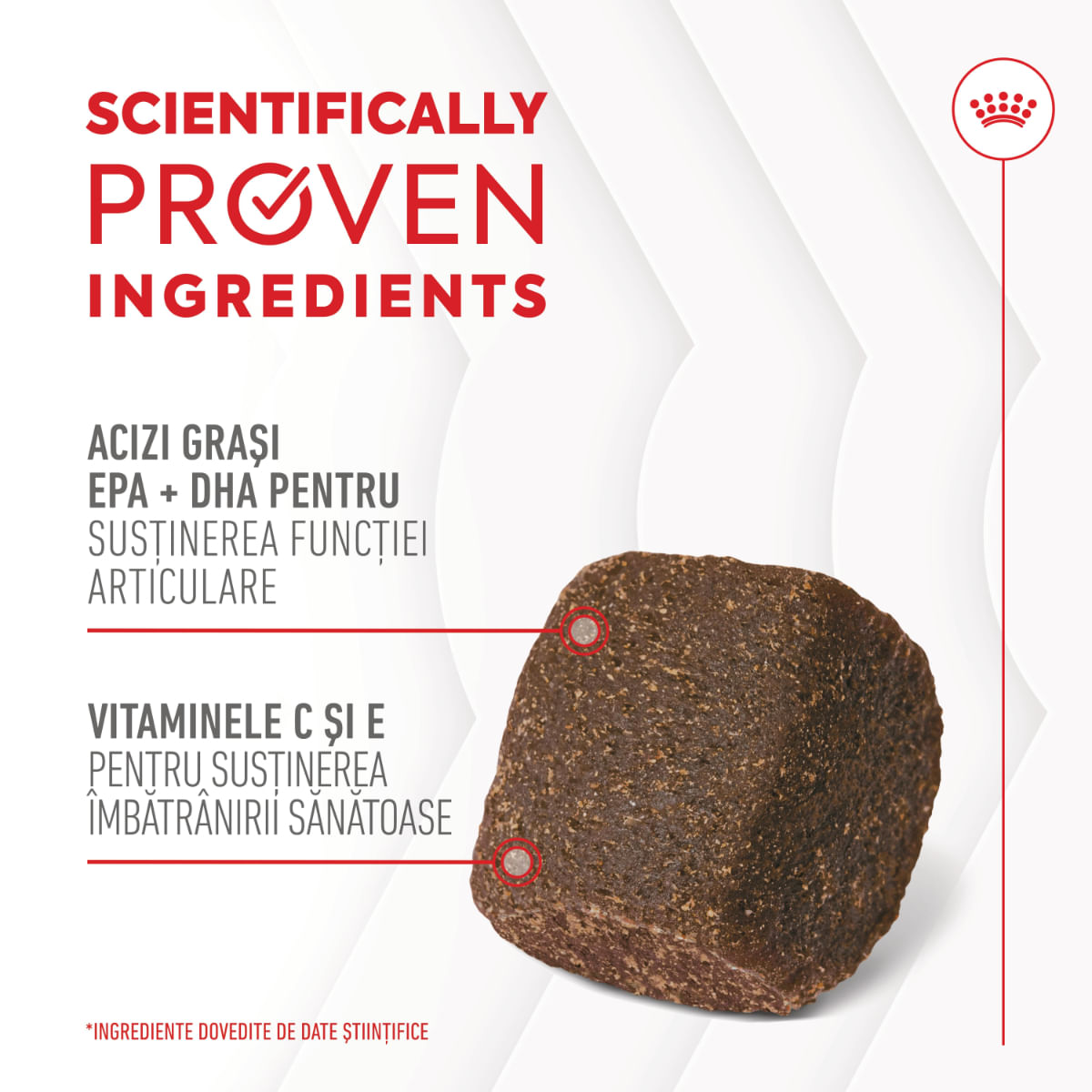 ROYAL CANIN Joint & Ageing Chews Adult Supplements, punguță recompense funcționale câini, sistem articular, 240g - poza 4