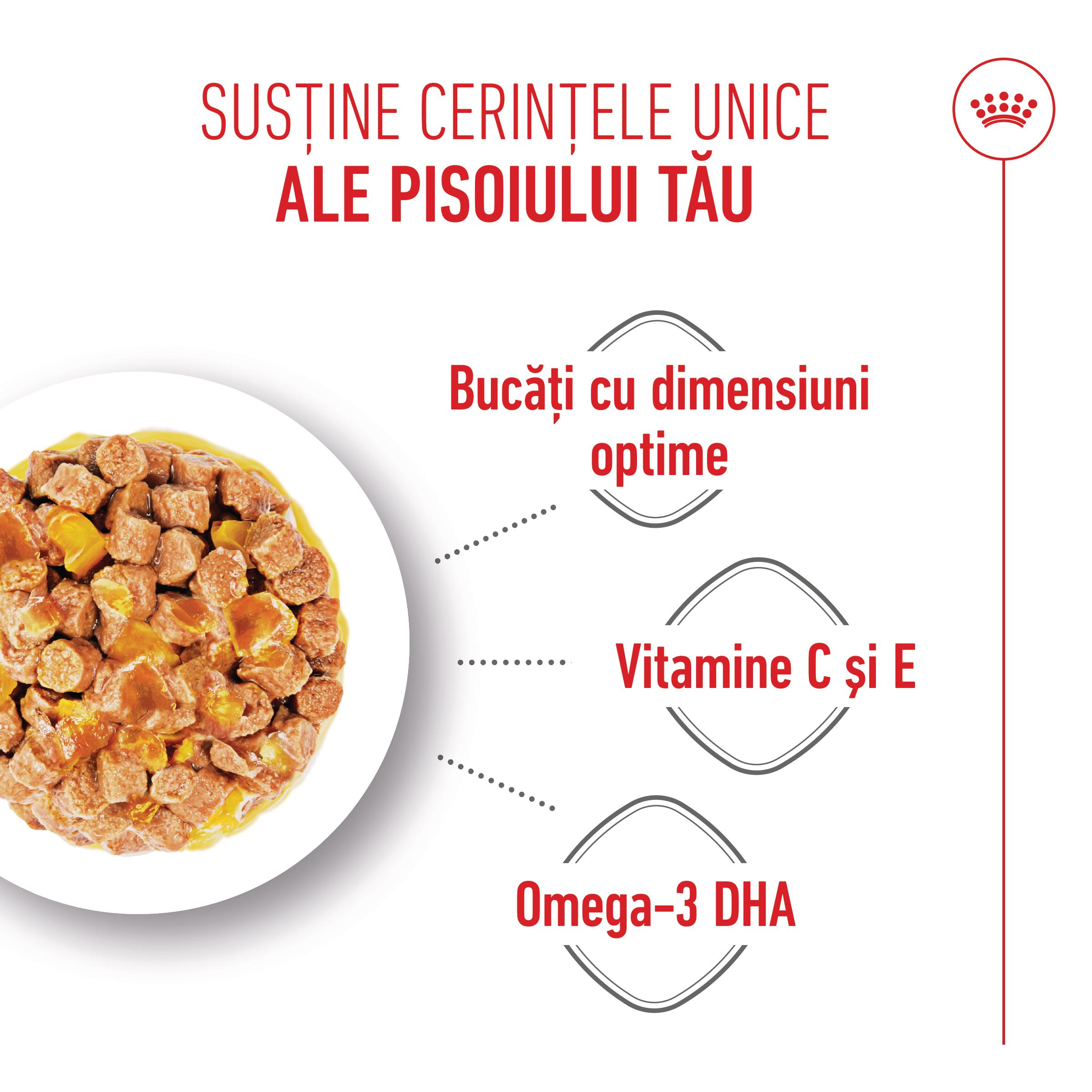 ROYAL CANIN Kitten, hrană umedă pisici, (în aspic), bax, 85g x 12buc - poza 4