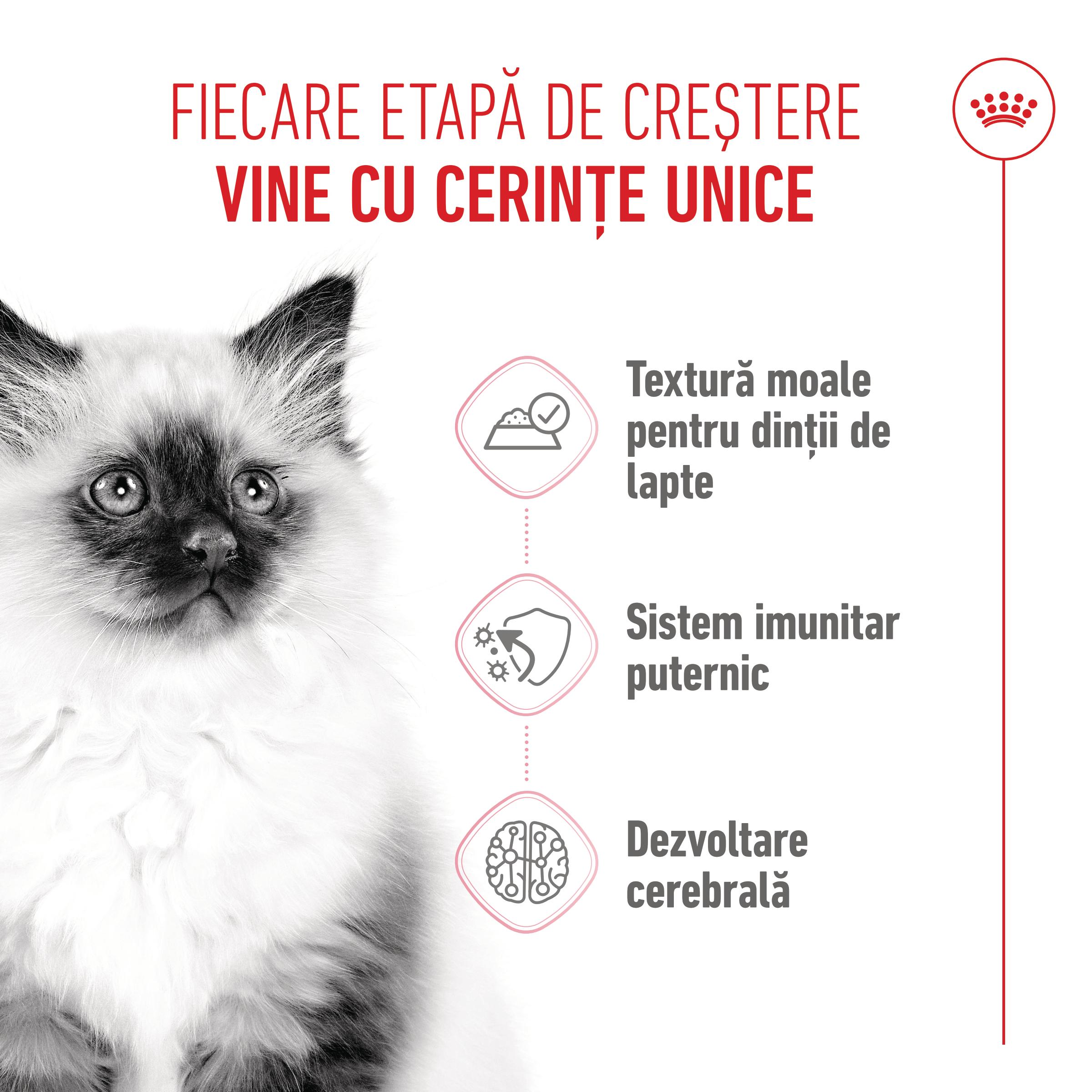 ROYAL CANIN Kitten, hrană umedă pisici junior, (în sos), 85g - poza 5