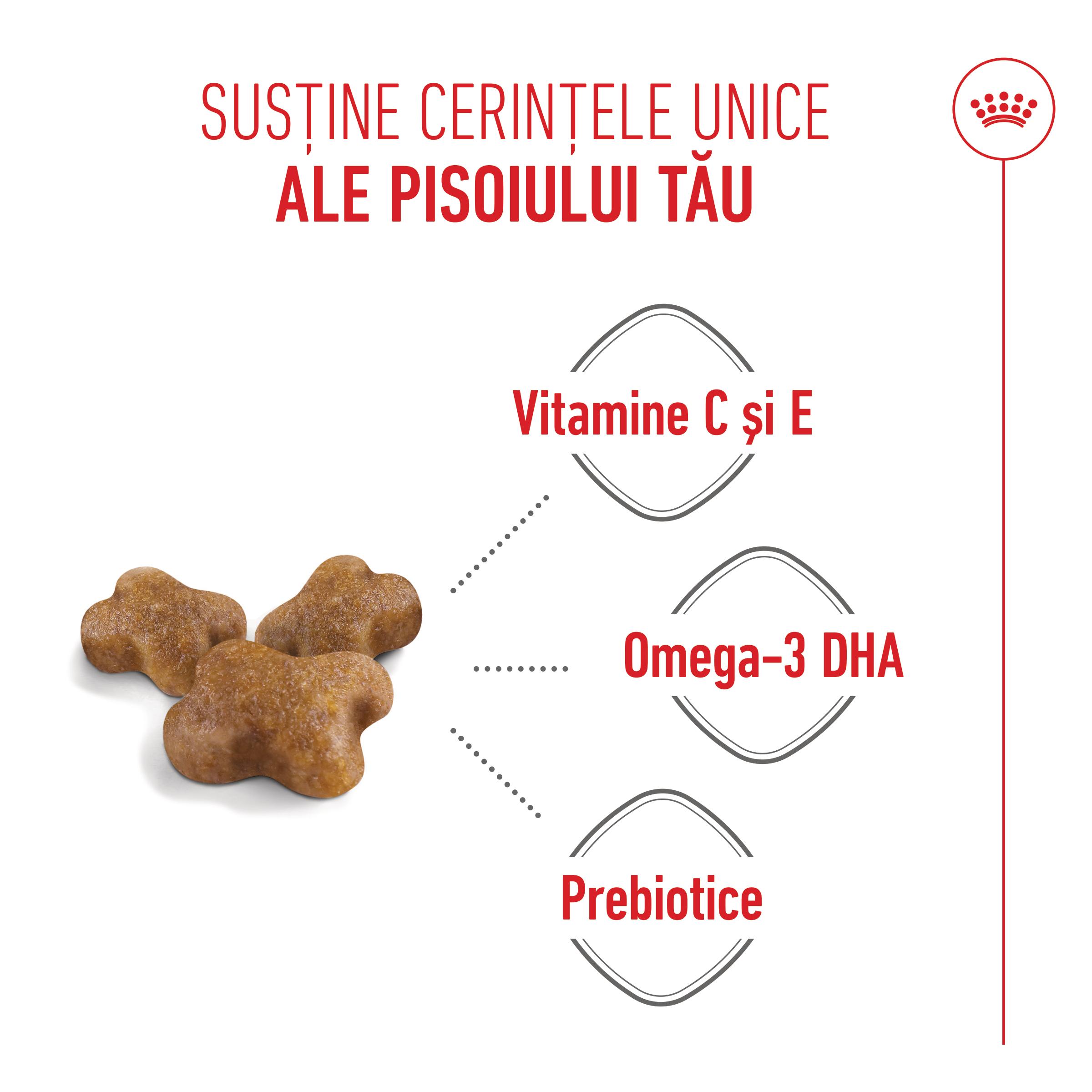 ROYAL CANIN Kitten, hrană uscată pisici junior, 2kg - poza 5
