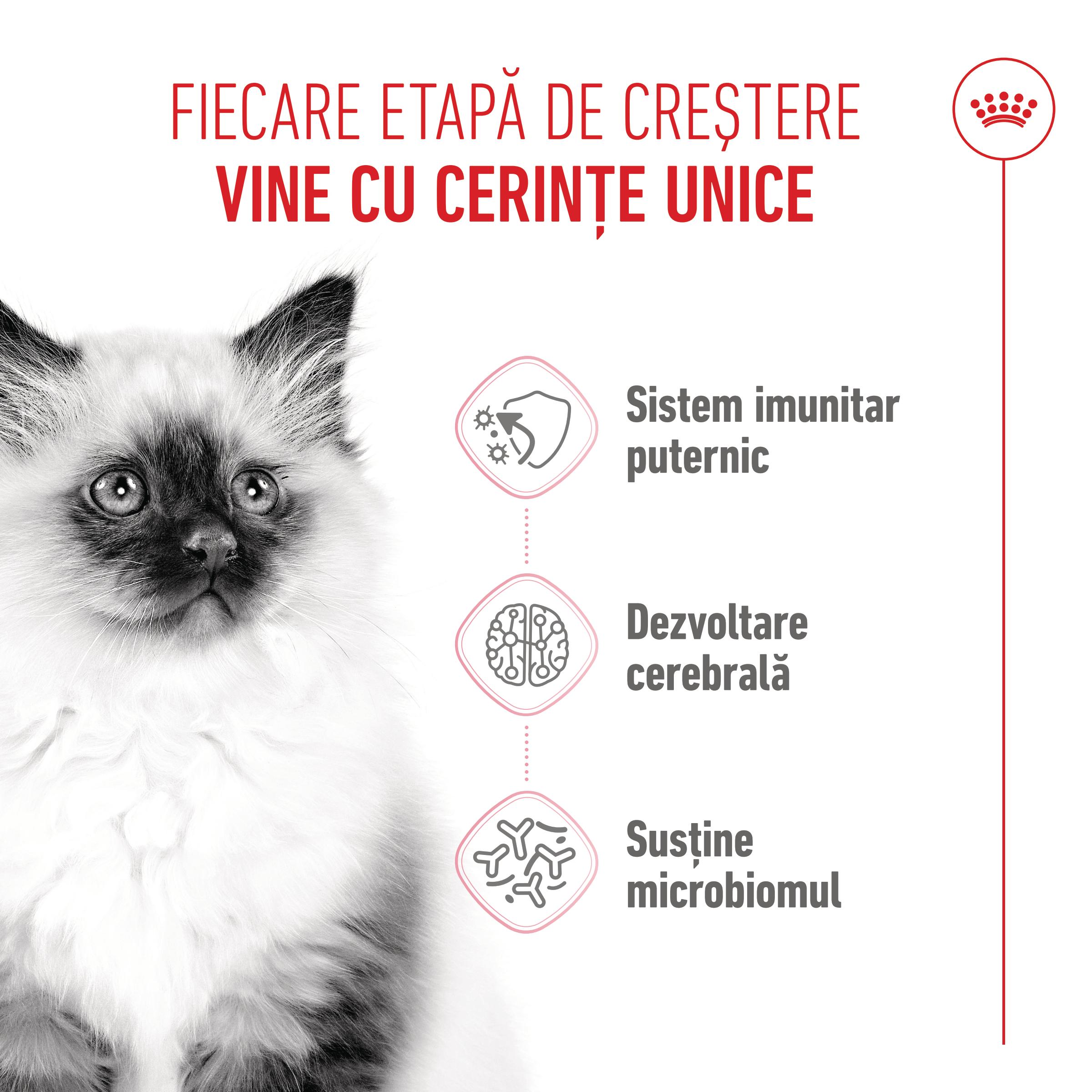 ROYAL CANIN Kitten, hrană uscată pisici junior, 4kg - poza 4