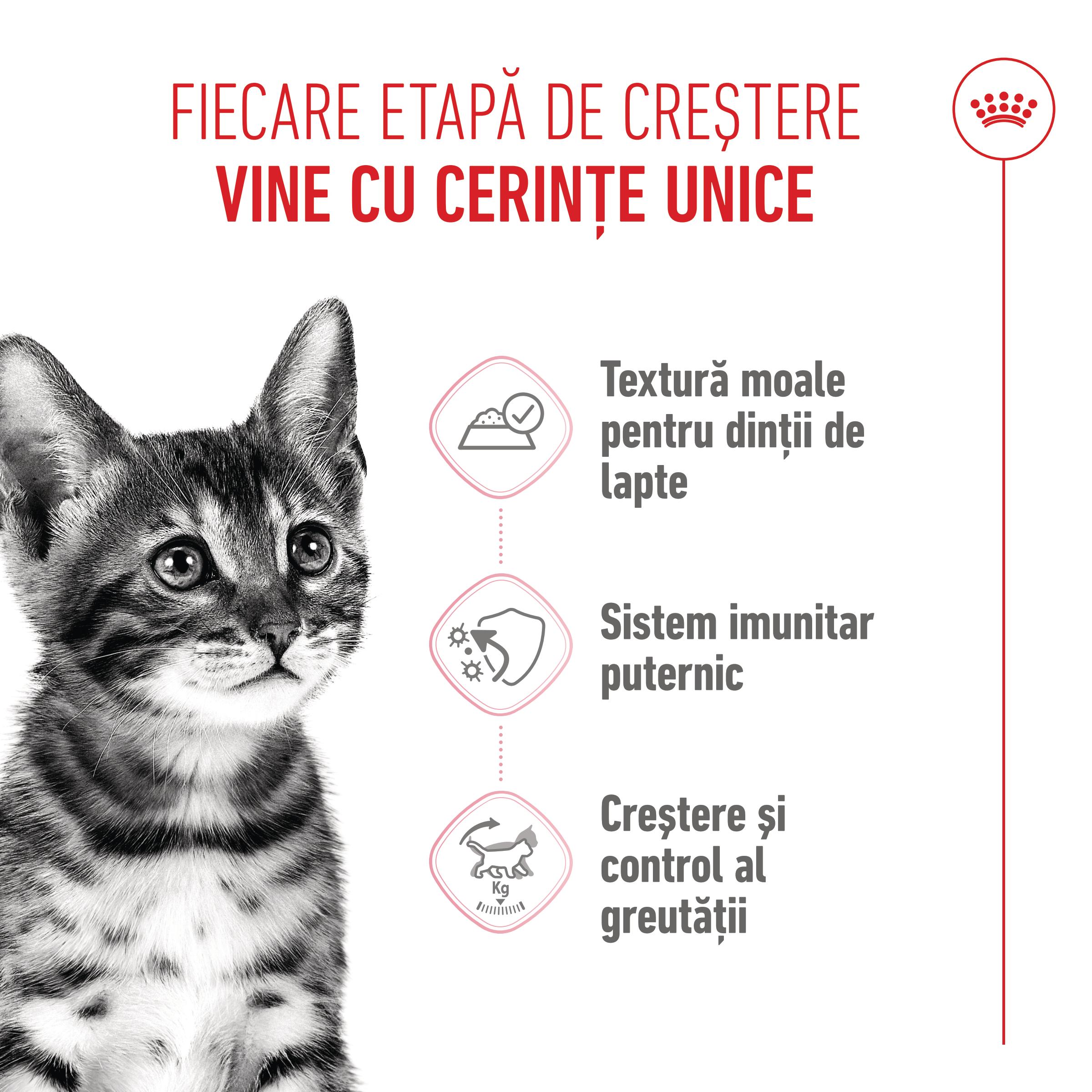 ROYAL CANIN Kitten Sterilised hrană umedă pisici sterilizate junior (în sos), bax, 85g x 12buc - poza 3