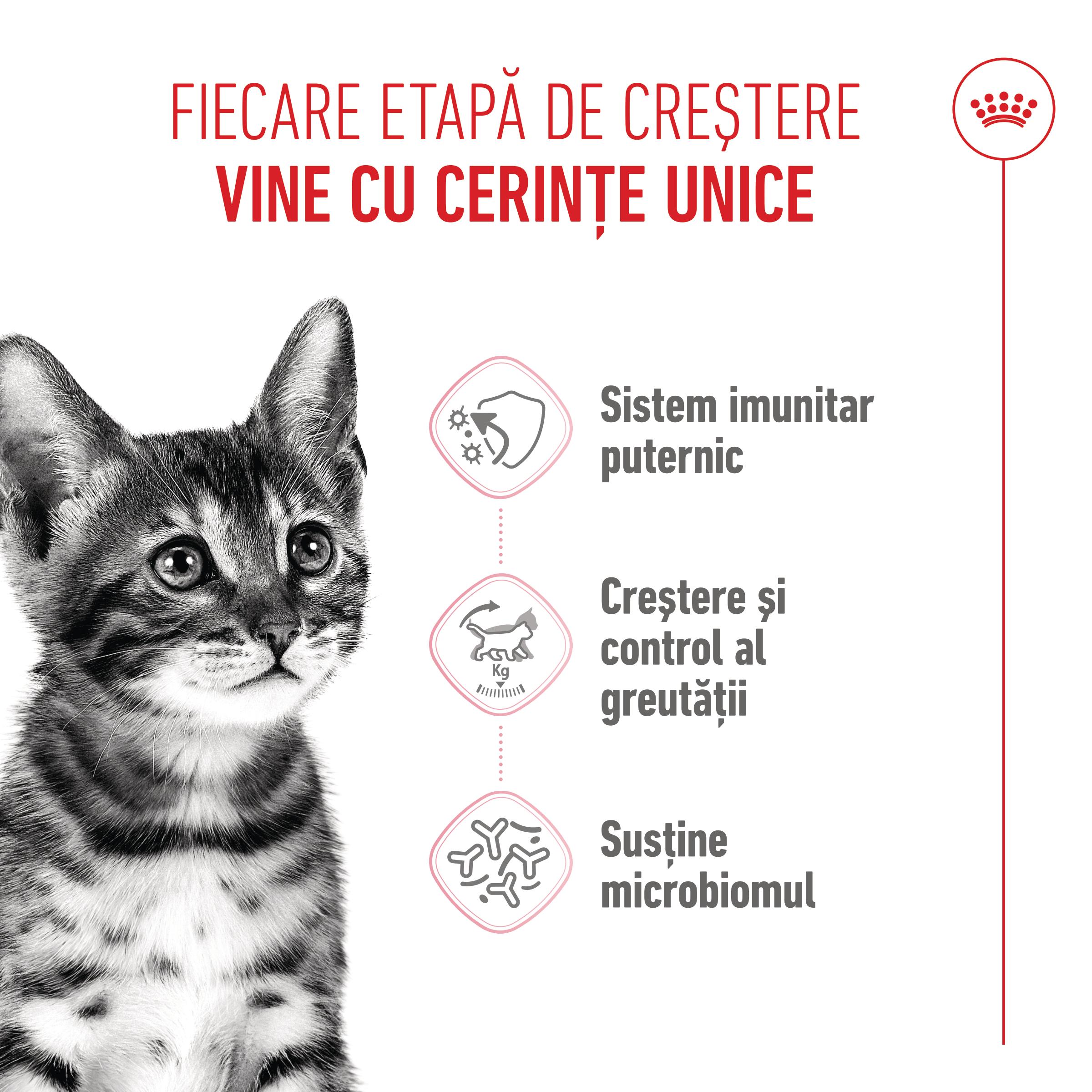 ROYAL CANIN Kitten Sterilised, hrană uscată pisici sterilizate junior, 2kg - poza 4