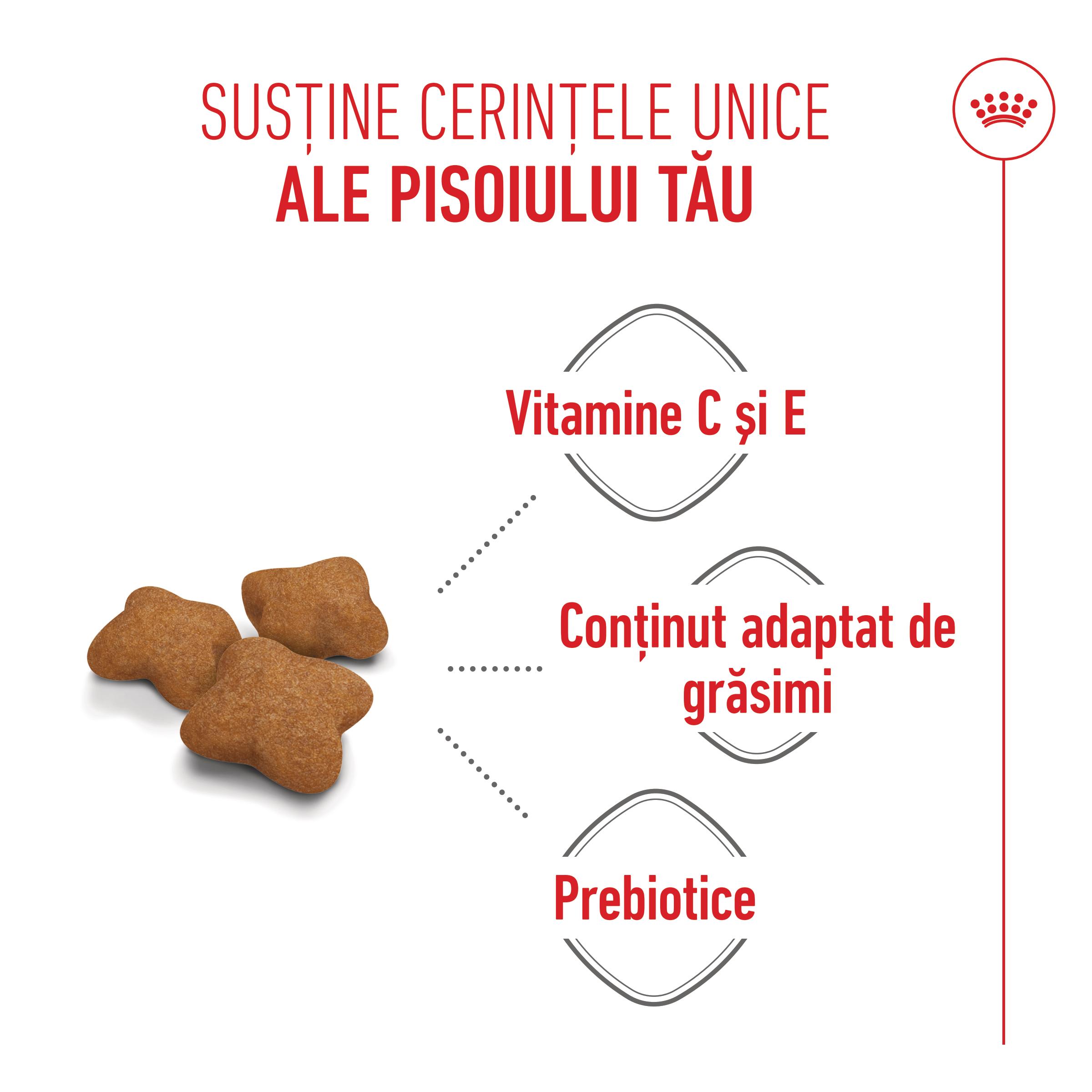 ROYAL CANIN Kitten Sterilised, hrană uscată pisici sterilizate junior, 2kg - poza 5