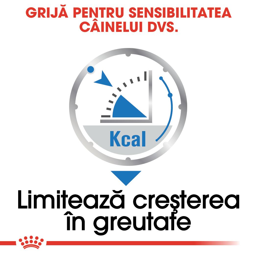 ROYAL CANIN Light Weight Care Adult, hrană umedă câini, limitarea creșterii în greutate, (pate), 85g - poza 5