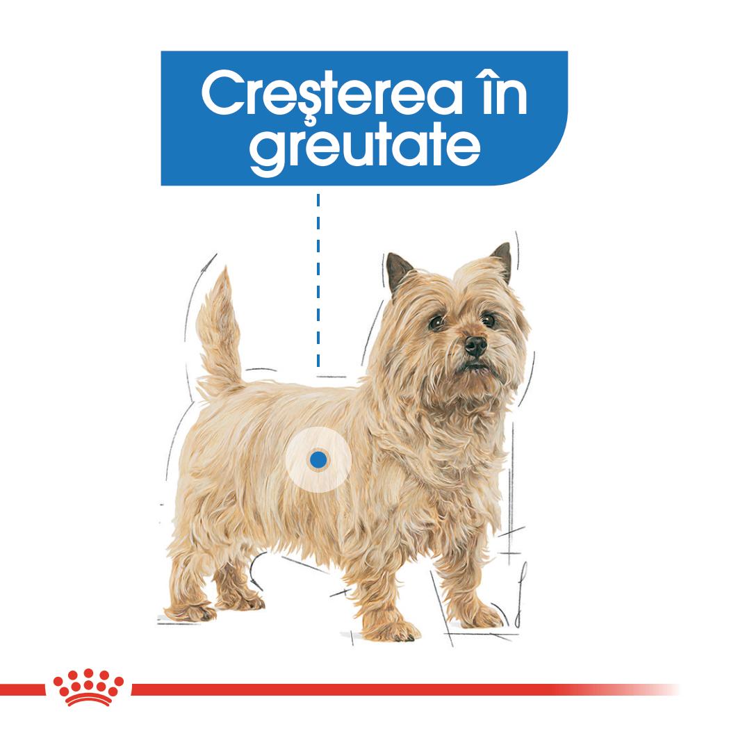 ROYAL CANIN Light Weight Care Adult, hrană umedă câini, limitarea creșterii în greutate, (pate), bax, 85g x 12buc - poza 4