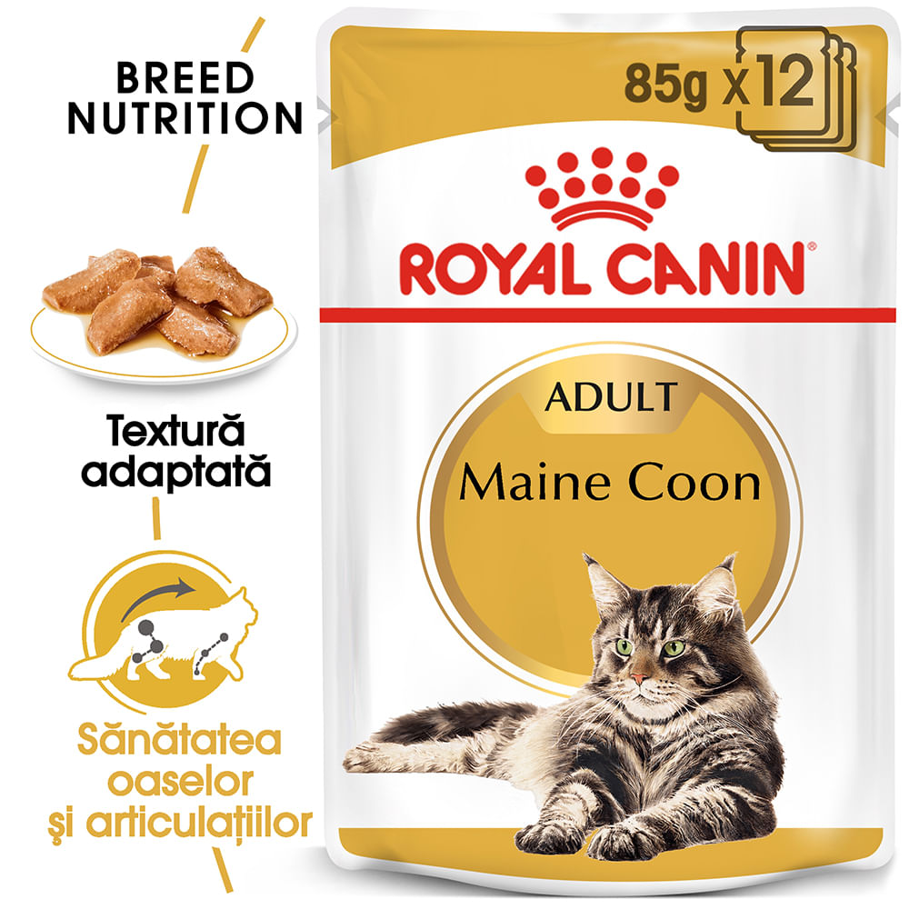 ROYAL CANIN Maine Coon Adult, hrană umedă pisici, (în sos), bax, 85g x 12buc - poza 1