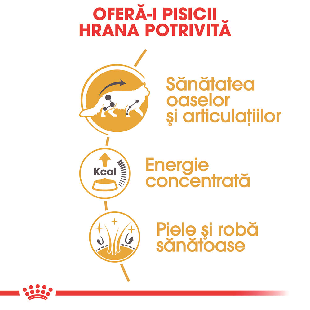 ROYAL CANIN Maine Coon Adult, hrană umedă pisici, (în sos), bax, 85g x 12buc - poza 5