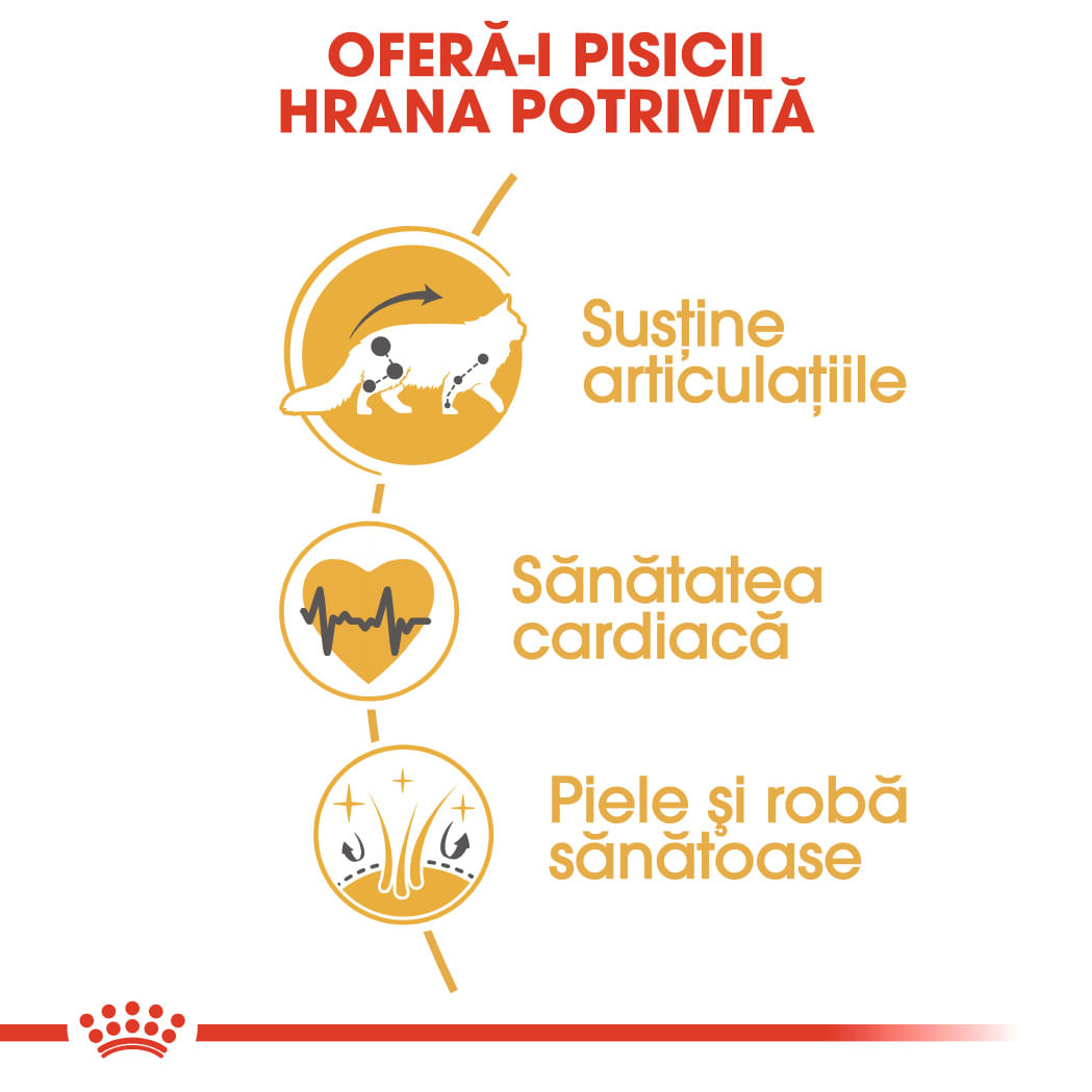 ROYAL CANIN Maine Coon Adult, hrană uscată pisici, 10kg - poza 5