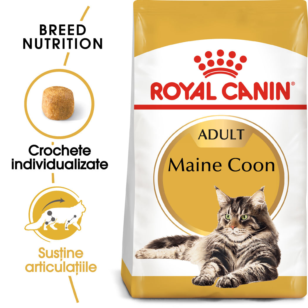 ROYAL CANIN Maine Coon Adult, hrană uscată pisici, 4kg - poza 2