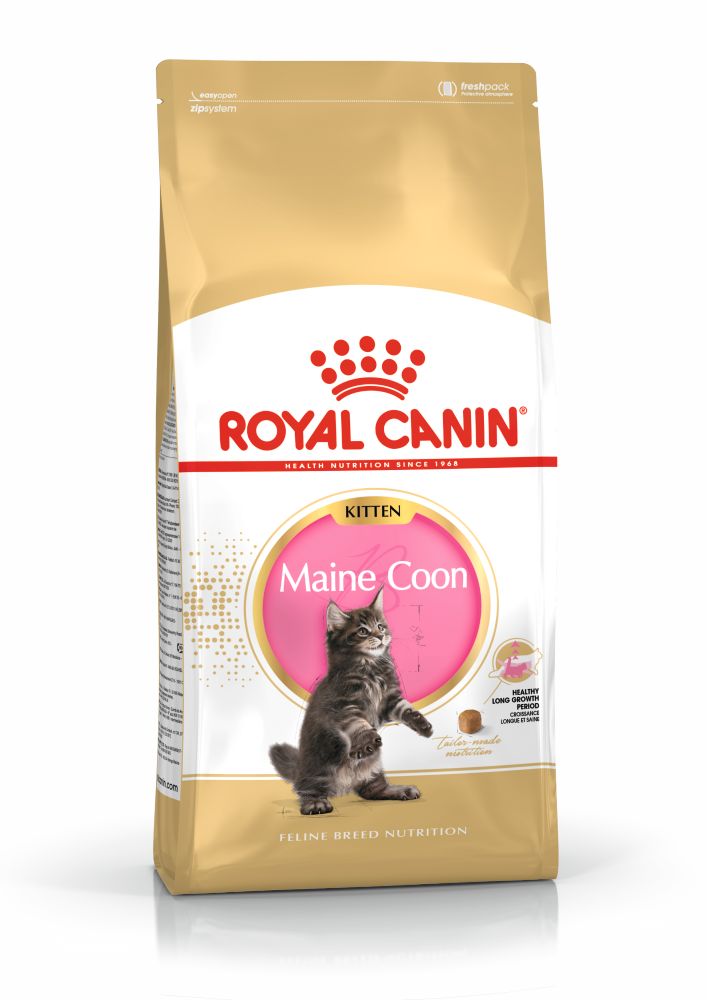 ROYAL CANIN Maine Coon Kitten, hrană uscată pisici junior, 10kg - poza 3