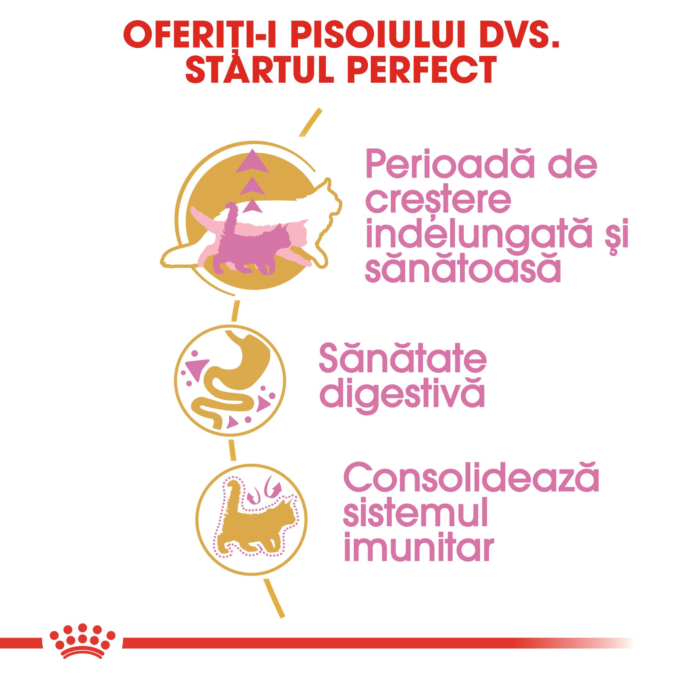 ROYAL CANIN Maine Coon Kitten, hrană uscată pisici junior, 2kg - poza 5