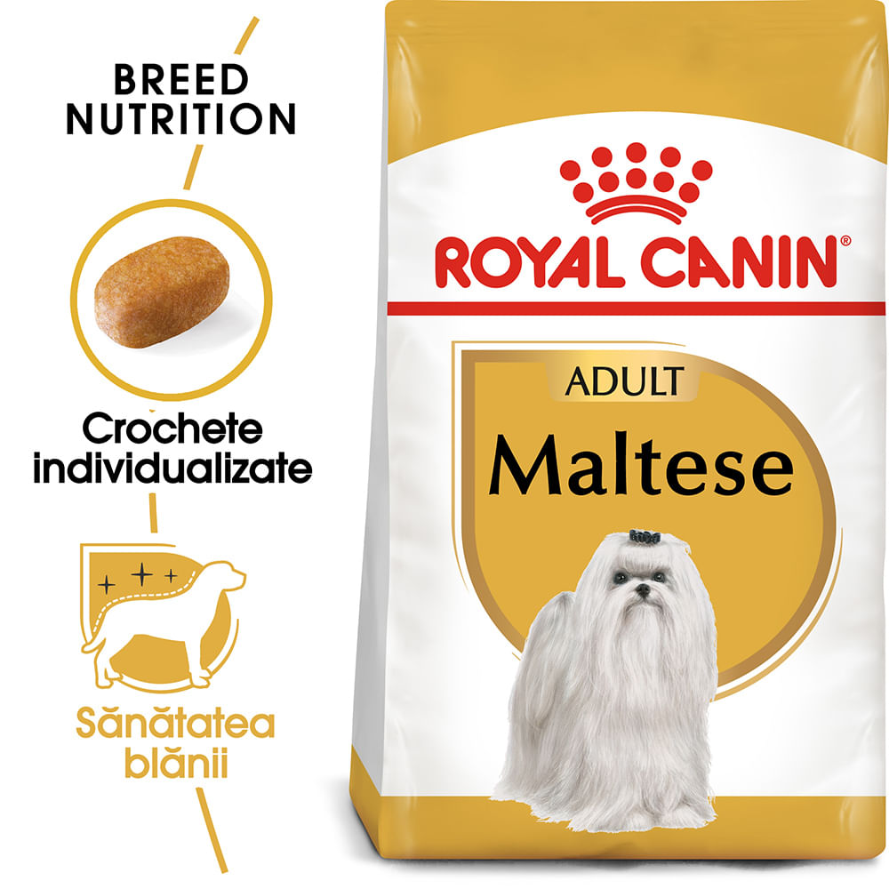 ROYAL CANIN Maltese Adult, hrană uscată câini, 500g - poza 1