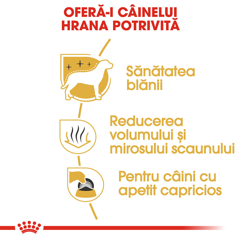 ROYAL CANIN Maltese Adult, hrană uscată câini, 500g - poza 5