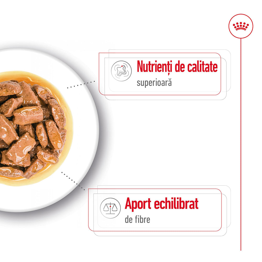 ROYAL CANIN Maxi Adult, hrană umedă câini, (în sos), 140g - poza 4