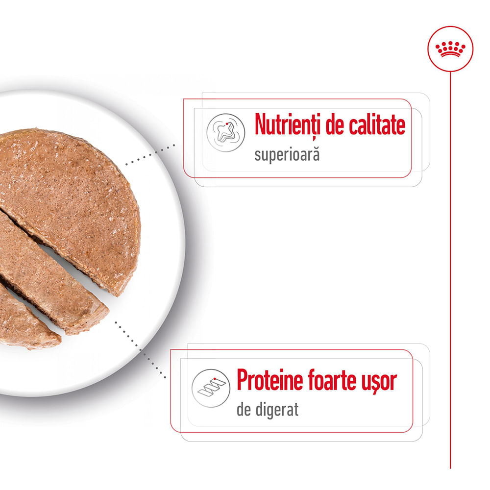 ROYAL CANIN Maxi Adult hrană umedă câini (pate), 410g - poza 4