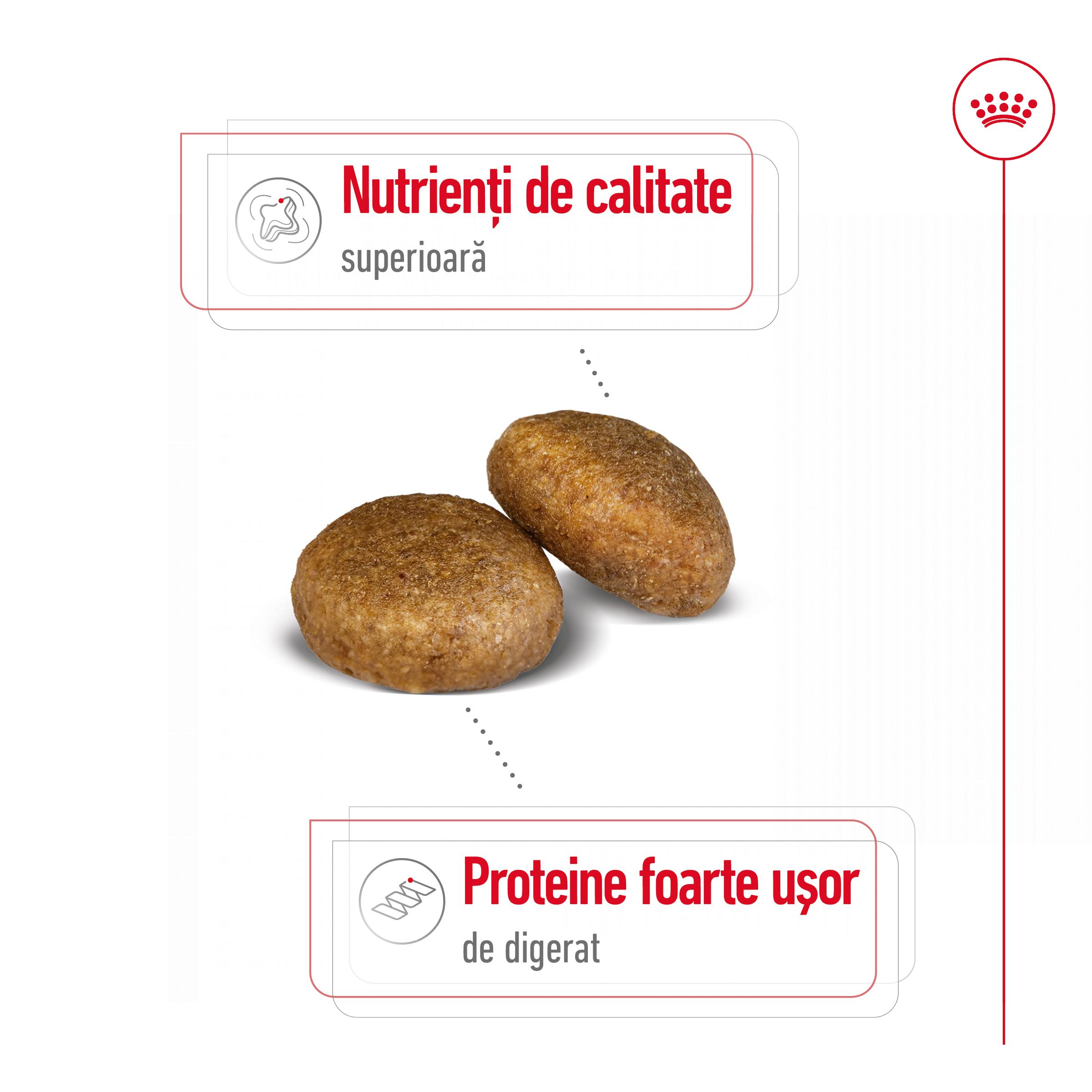 ROYAL CANIN Maxi Adult, hrană uscată câini, 12kg - poza 4