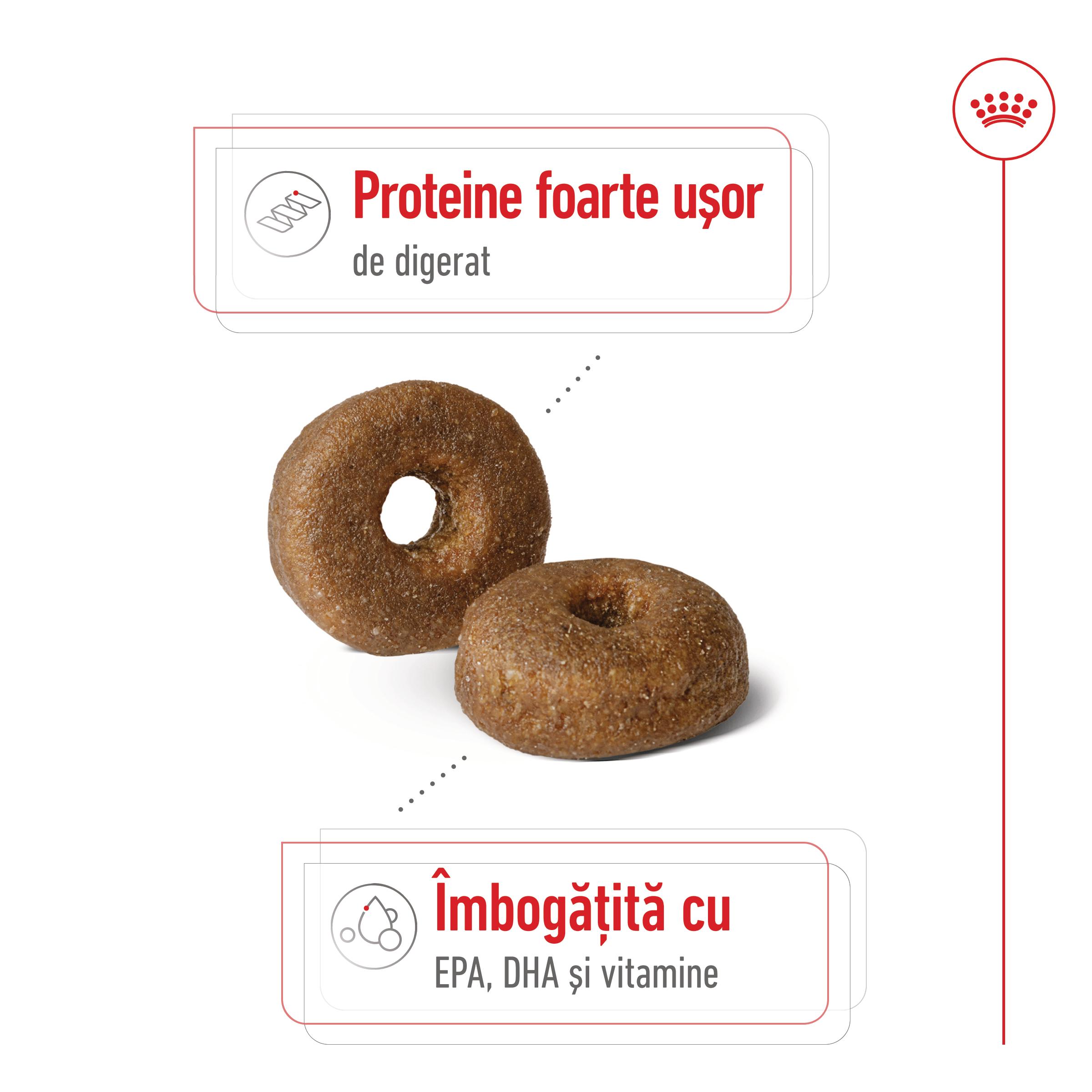ROYAL CANIN Maxi Ageing 8+, hrană uscată câini, 15kg - poza 4
