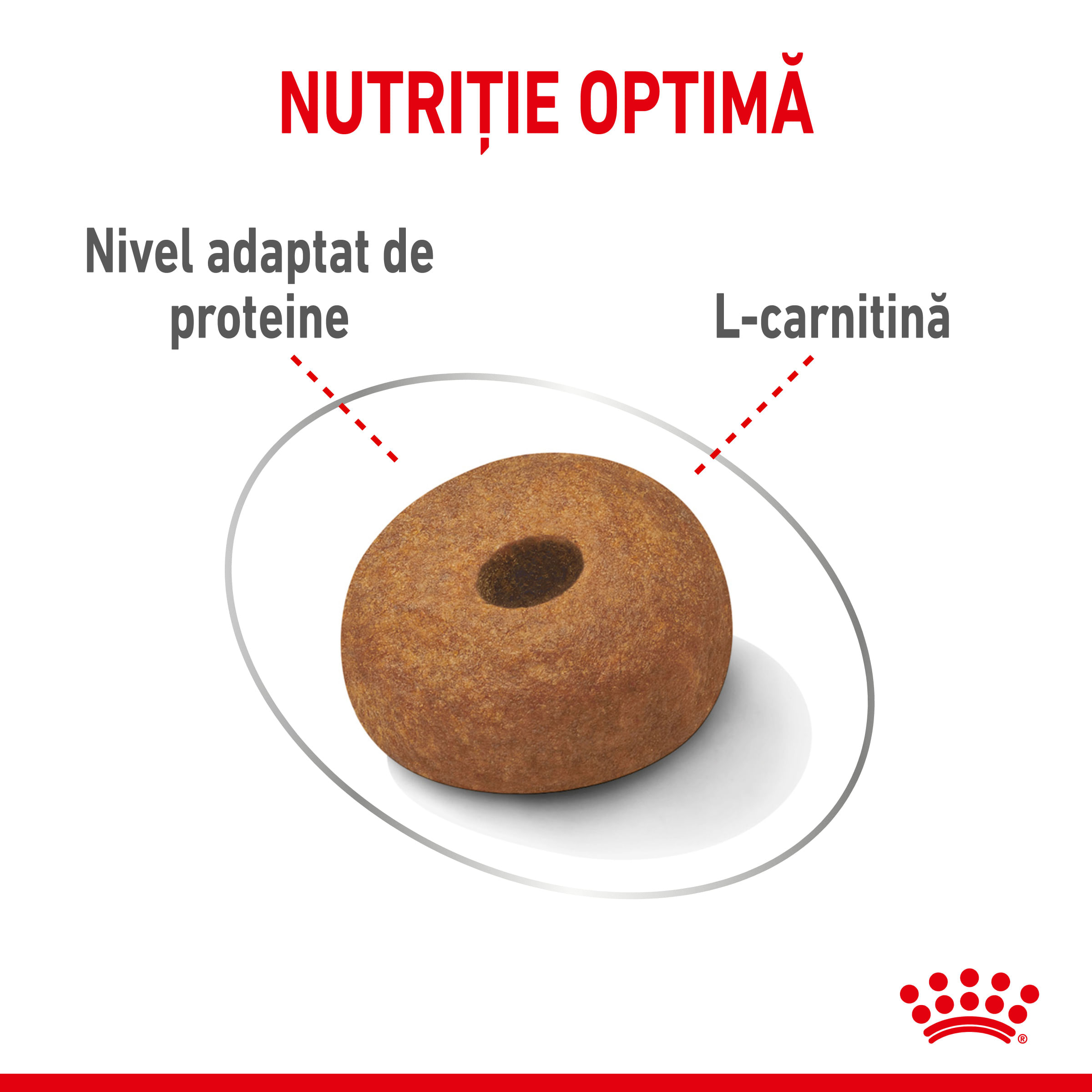 ROYAL CANIN Maxi Light Weight Care, hrană uscată câini, limitarea creșterii în greutate, 12kg - poza 5